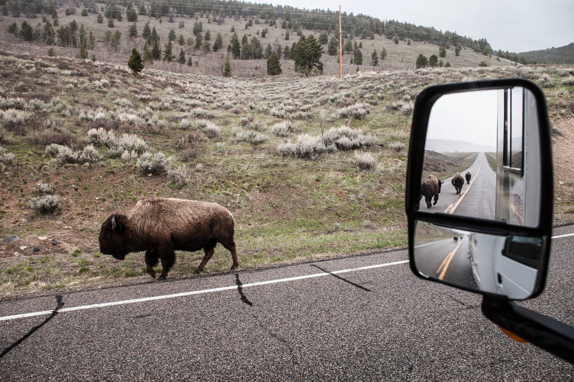 Yellowstone at 150: The park elevates Native American voices in its anniversary celebrations - Roadtrippers