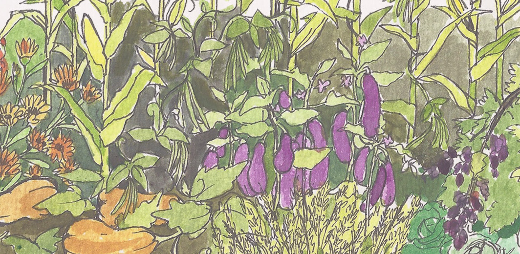 Earthcare Fieldcast: Clandestine food and peasant struggle in Italy | ROAR Magazine