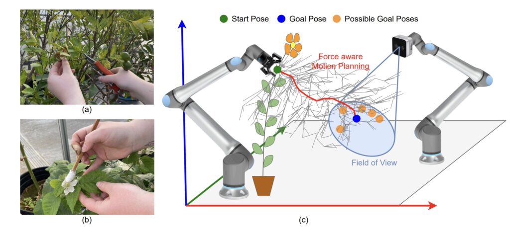 A multi-armed robot for assisting with agricultural tasks - Robohub