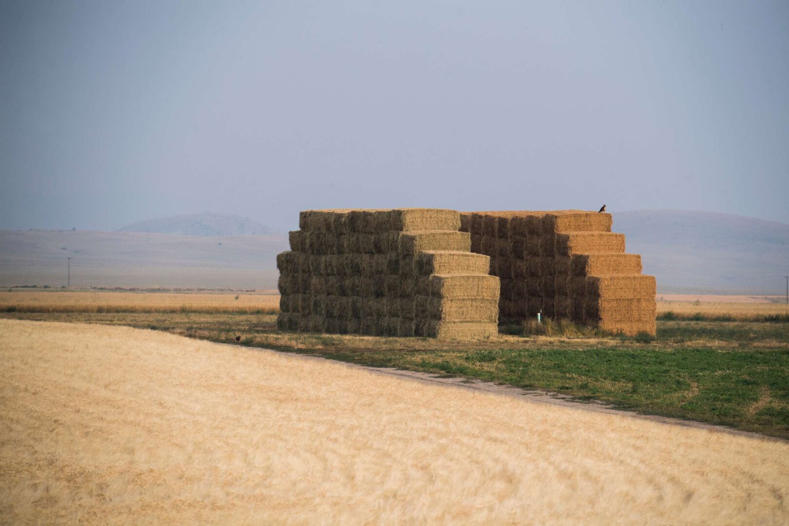 As House focuses on China, farm groups see other land buyers - Roll Call