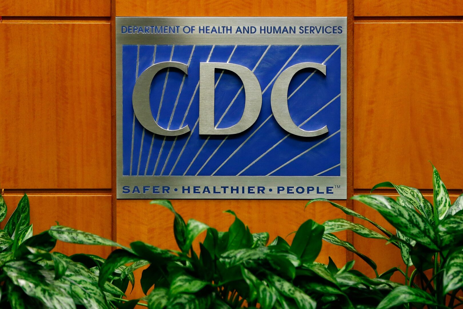 Future of vaccine panel unclear as member calls out HHS official – Roll Call