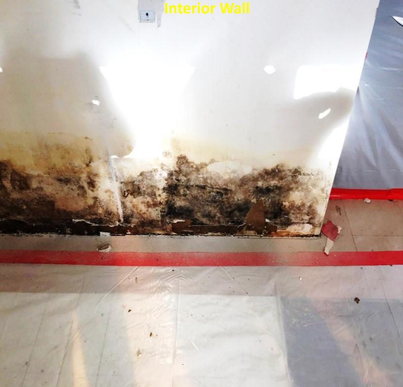Stamford mold lawsuit: Expect a long, drawn-out fight