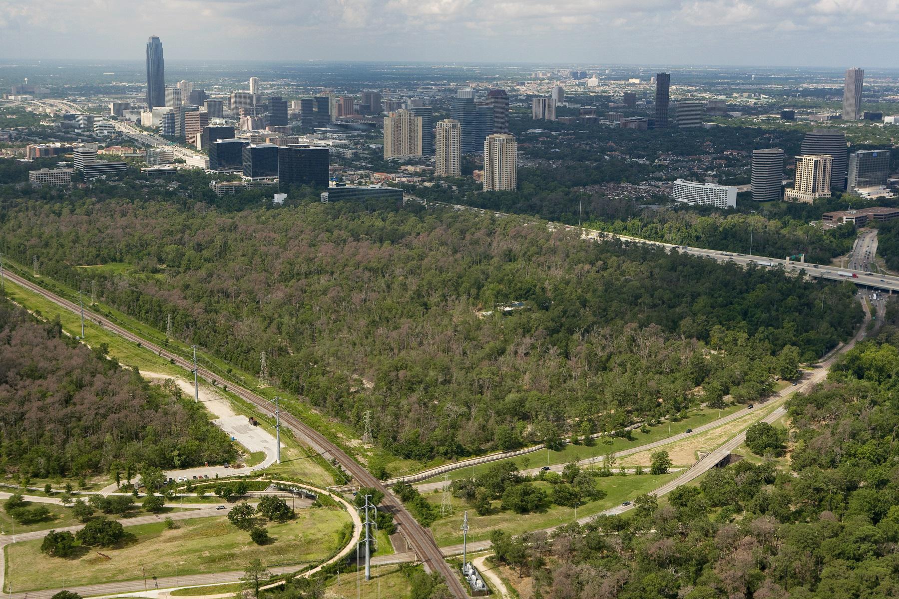 When you couldn’t see the Arboretum for the trees [Opinion]