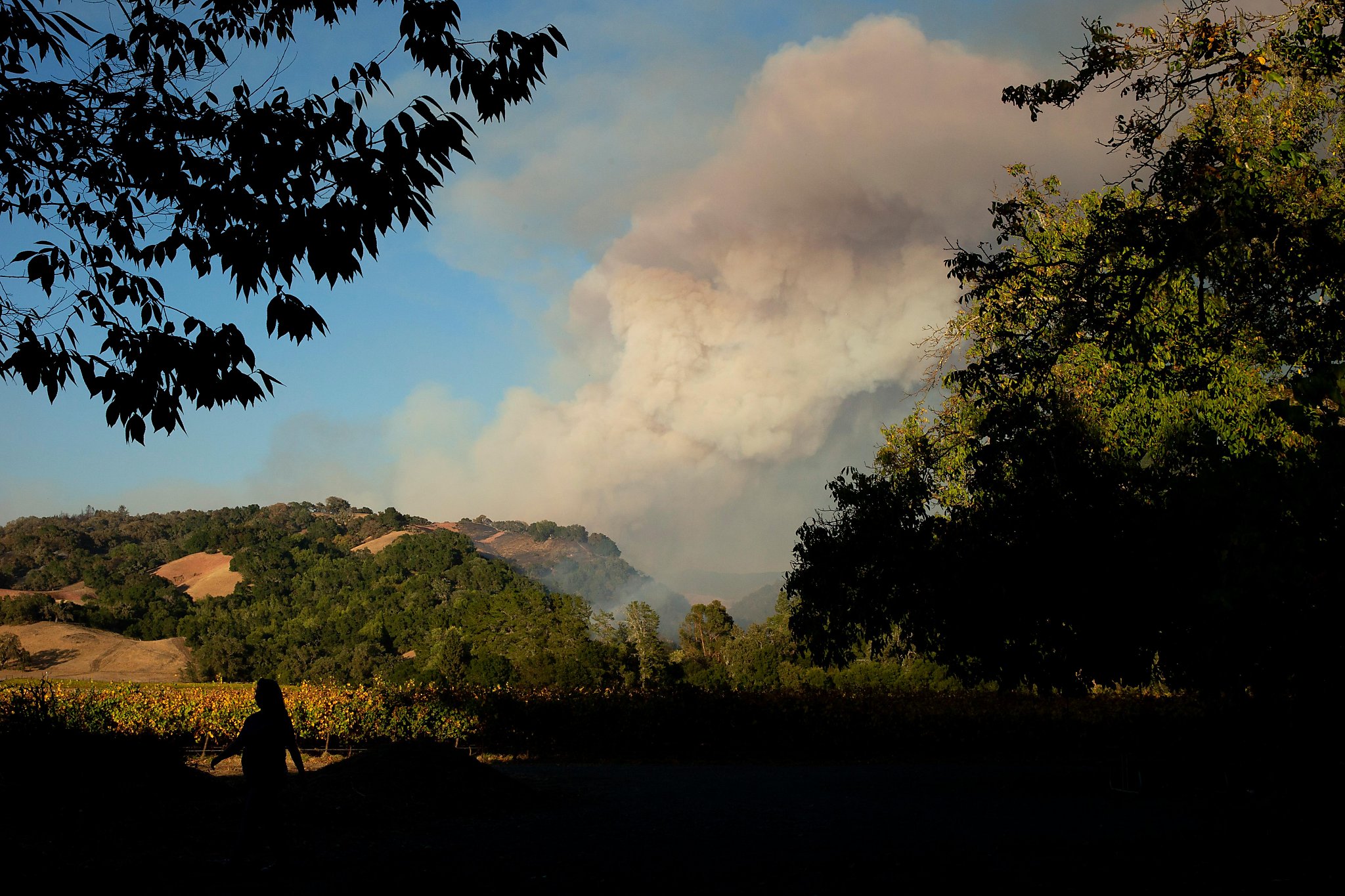 Healdsburg and Windsor residents get the word: It’s time to evacuate