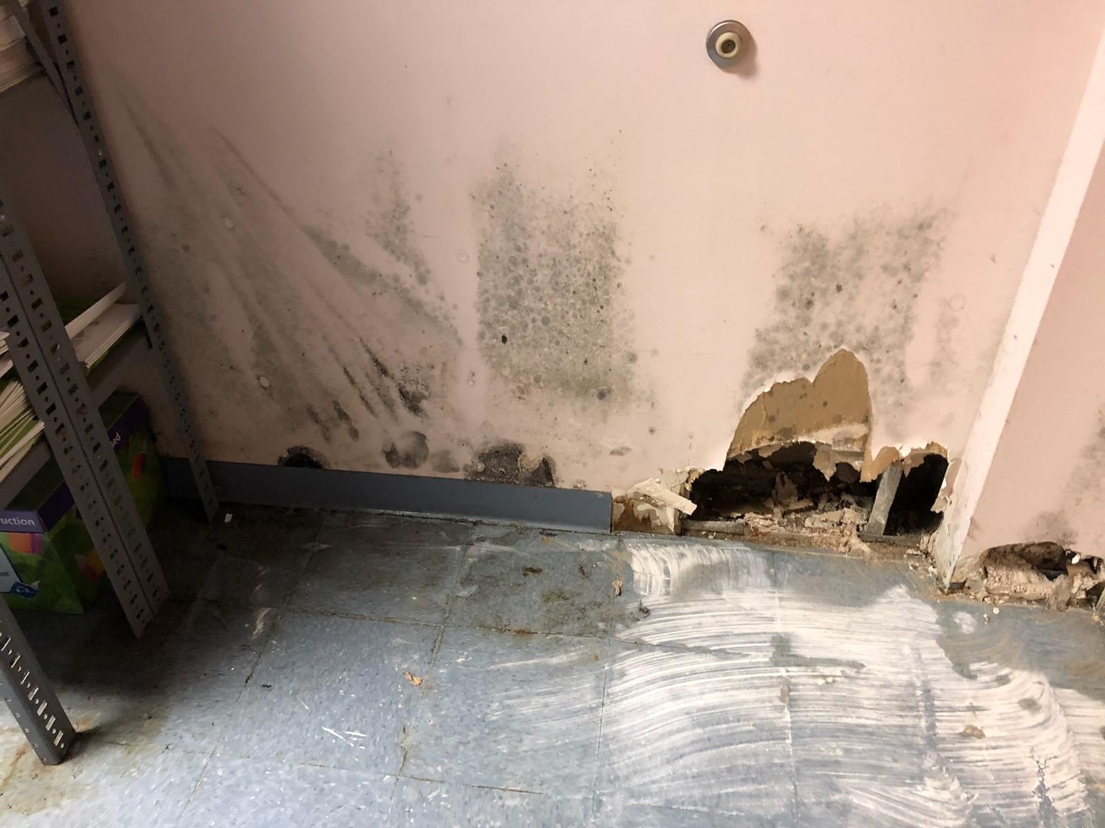 Rodents, mold, excessive heat sickening CT teachers, students