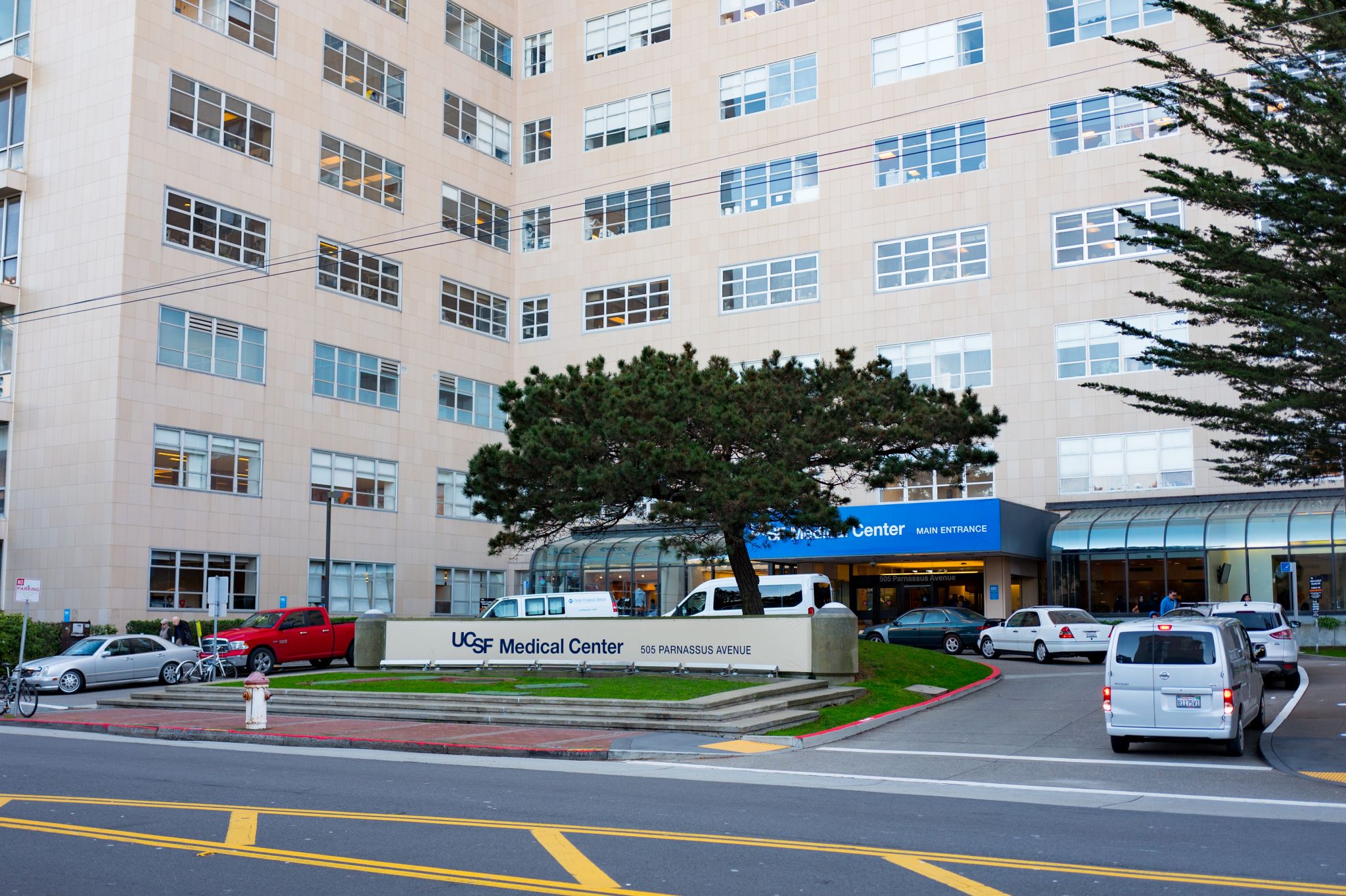 Bay Area coronavirus updates: Gavin Newsom extends shelter-in-place order to entire state
