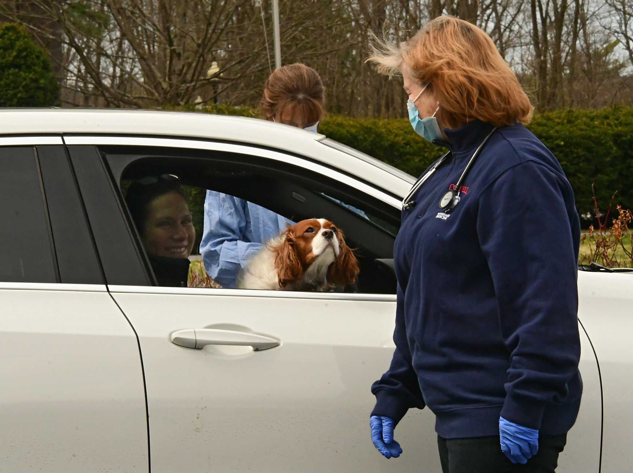 Fido, the doctor will see you now - outside