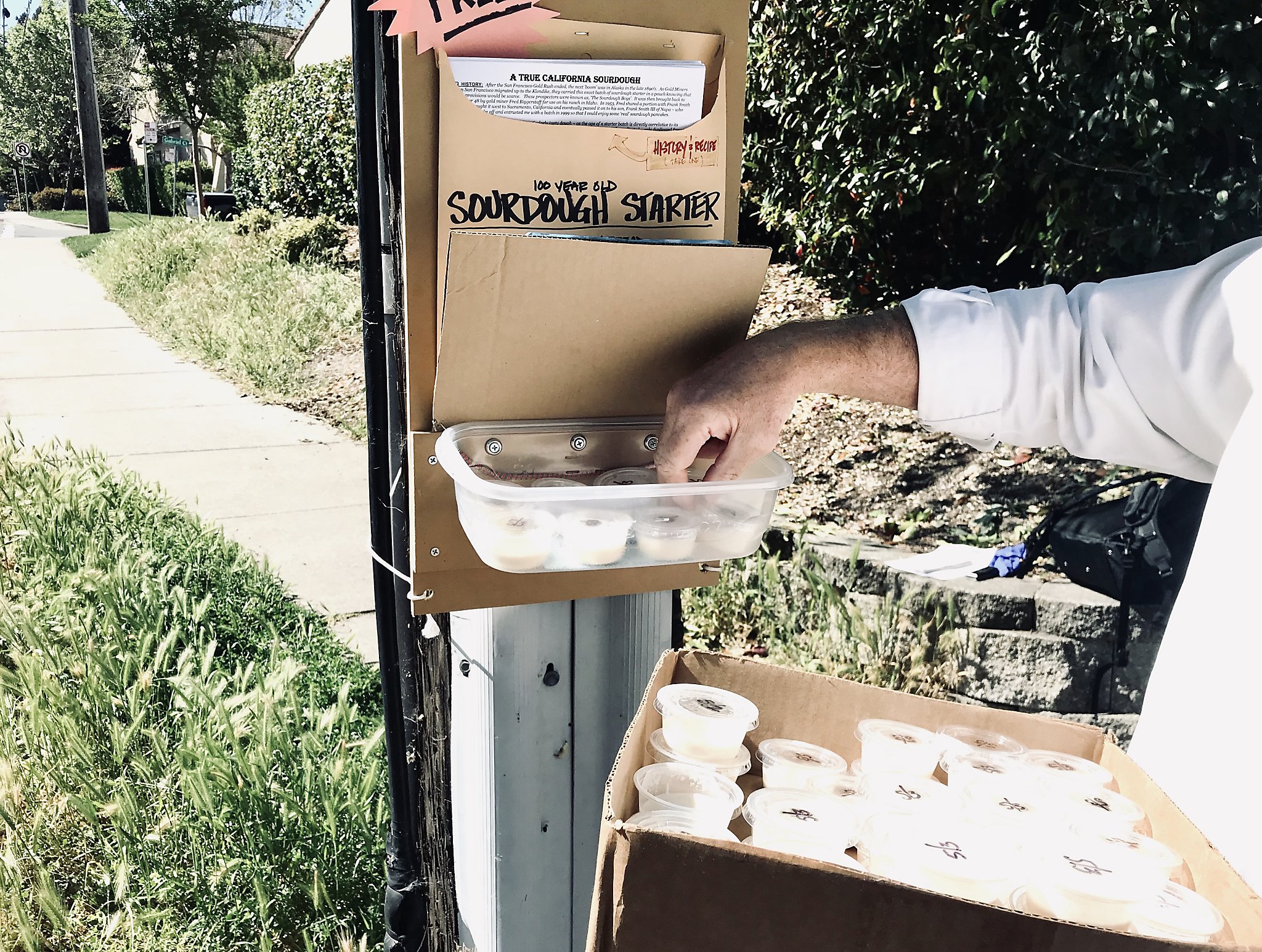 Coronavirus: ‘Phantom Baker’ rises to meet demand for sourdough starter