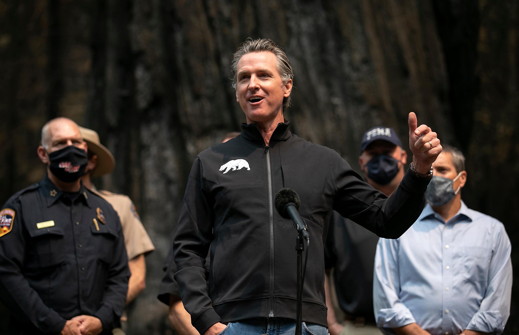 Newsom calls for California to conserve land, coasts to capture carbon and fight climate change
