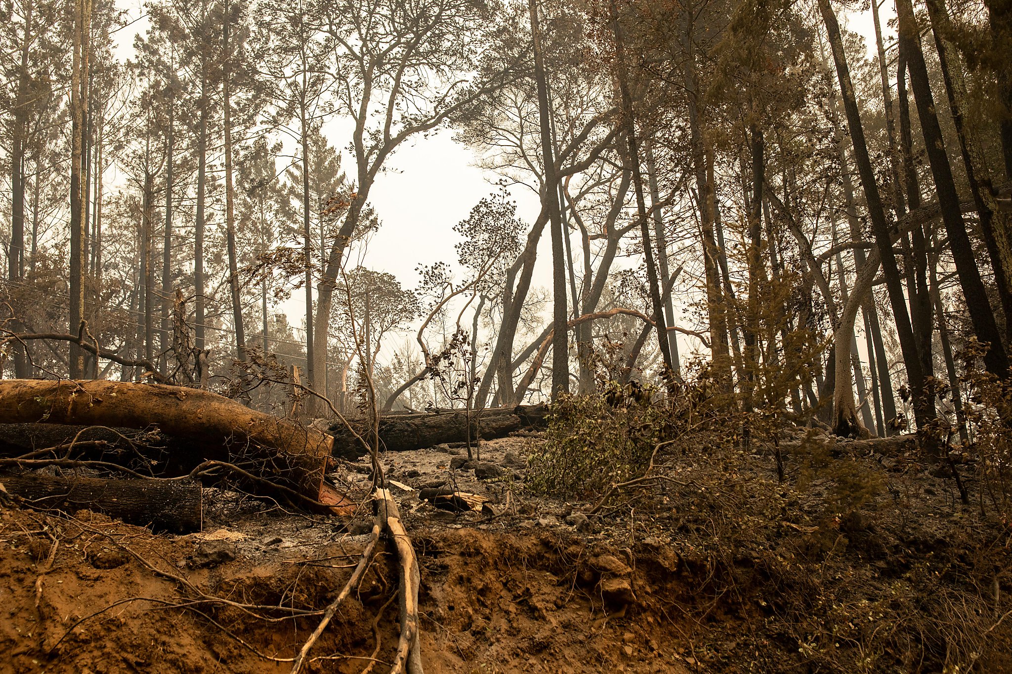 An idyllic country road in Napa, Sonoma counties seared by Glass Fire