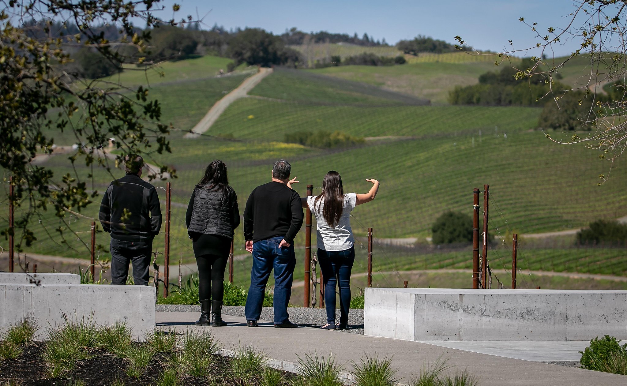 Four wineries for amazing views, Cabernet on Mount Veeder