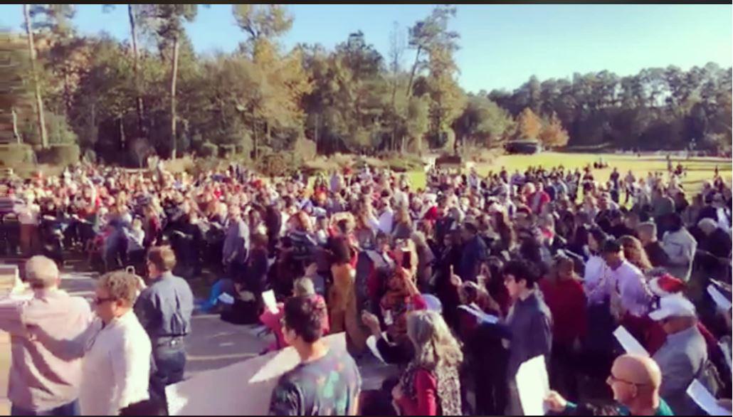 Protest over COVID restrictions draws hundreds to Woodlands park