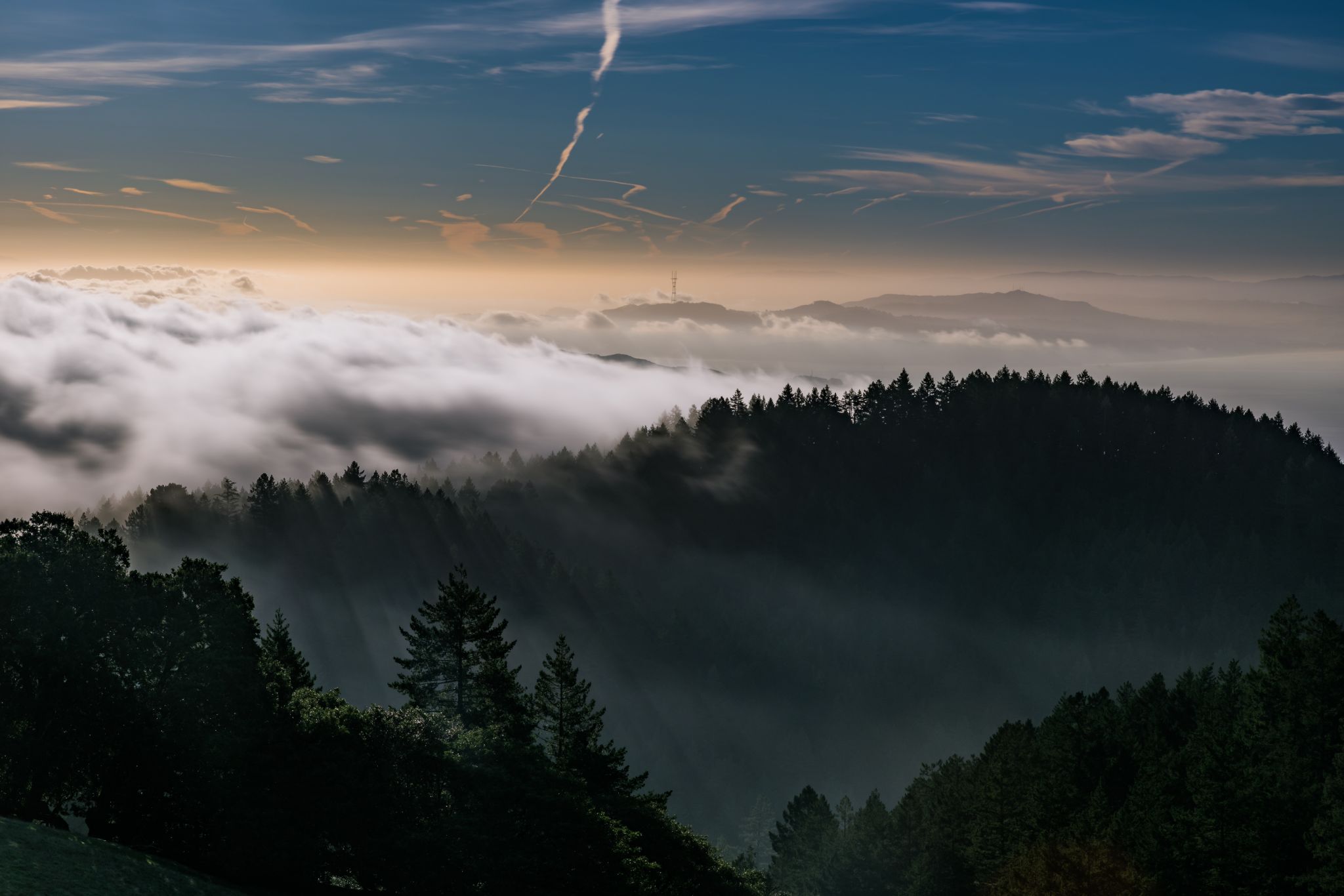 Mount Tam's haunted by a fatal plane crash. We found its remains.