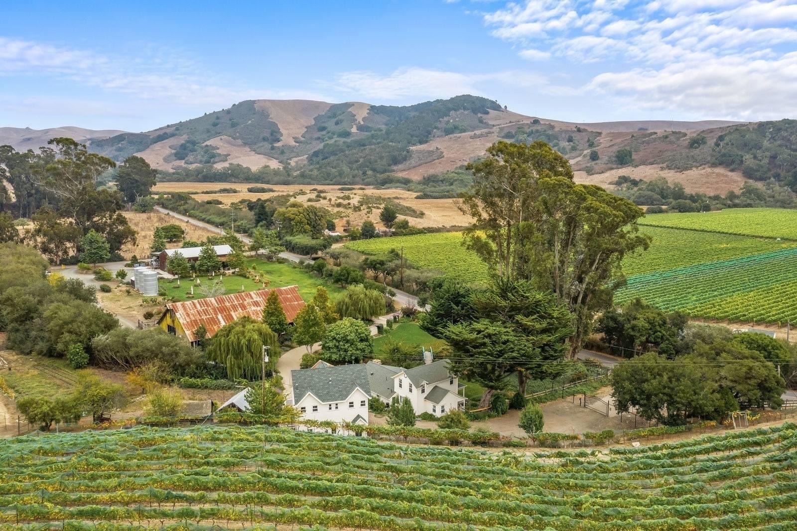 The SLO Coast AVA, California’s most coastal wine-growing region, has officially arrived