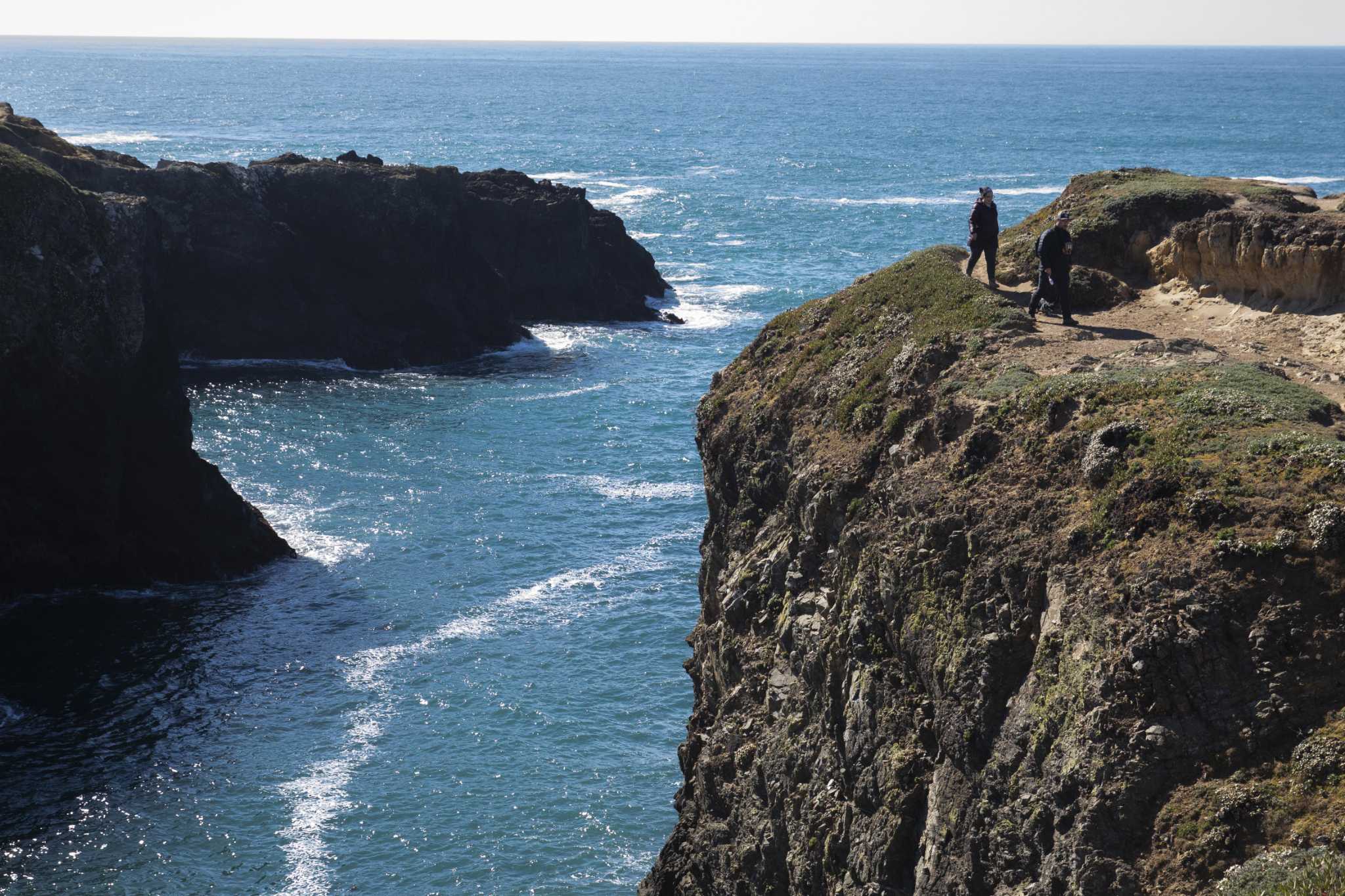Surfer survives shark attack off Northern California