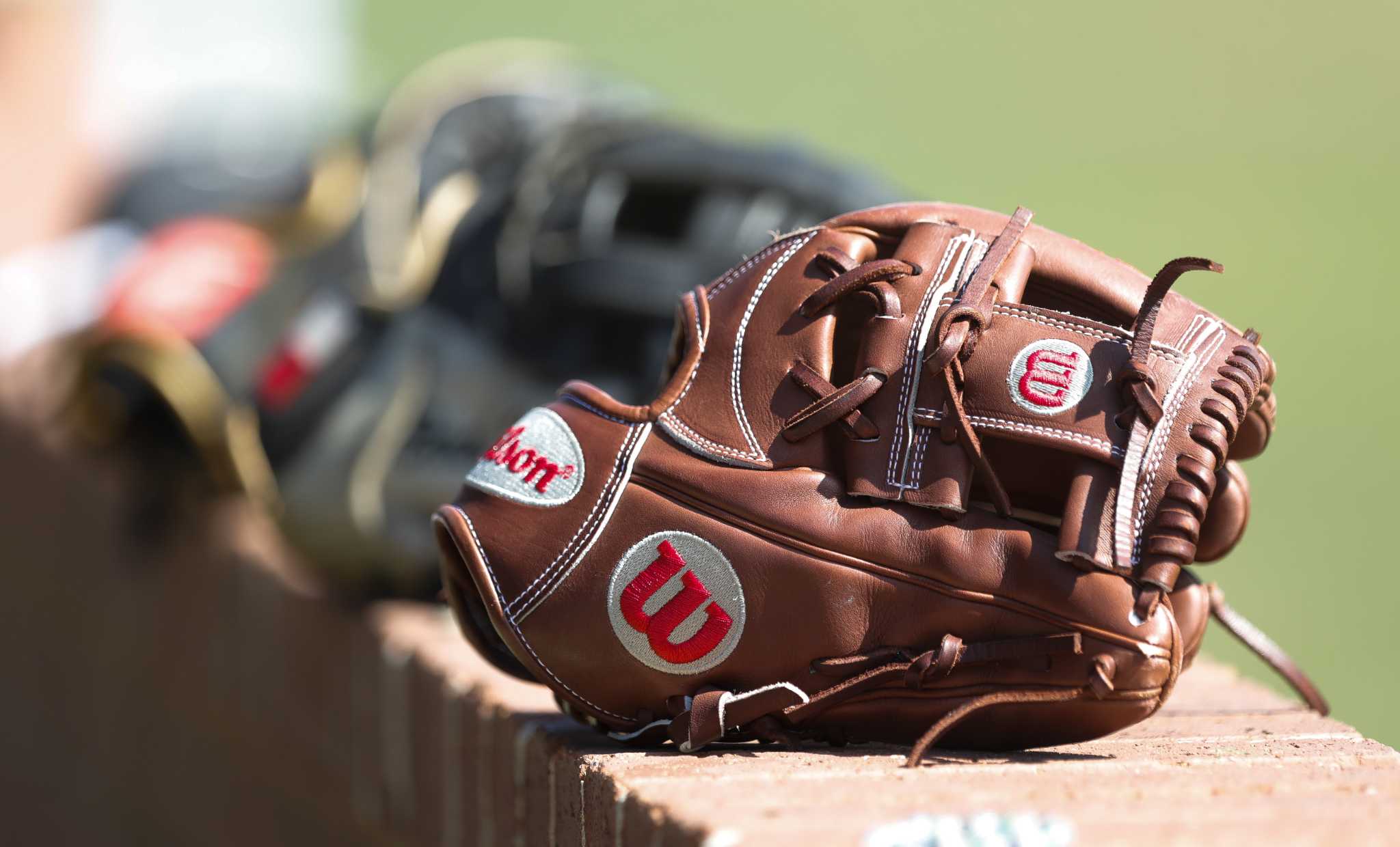 Houston high school baseball: Schedule for the UIL area playoffs