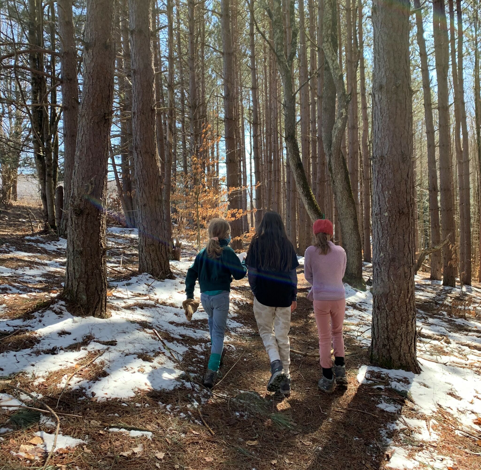 Trail mix: Hiking and dining in the Catskills towns of Andes and Bovina