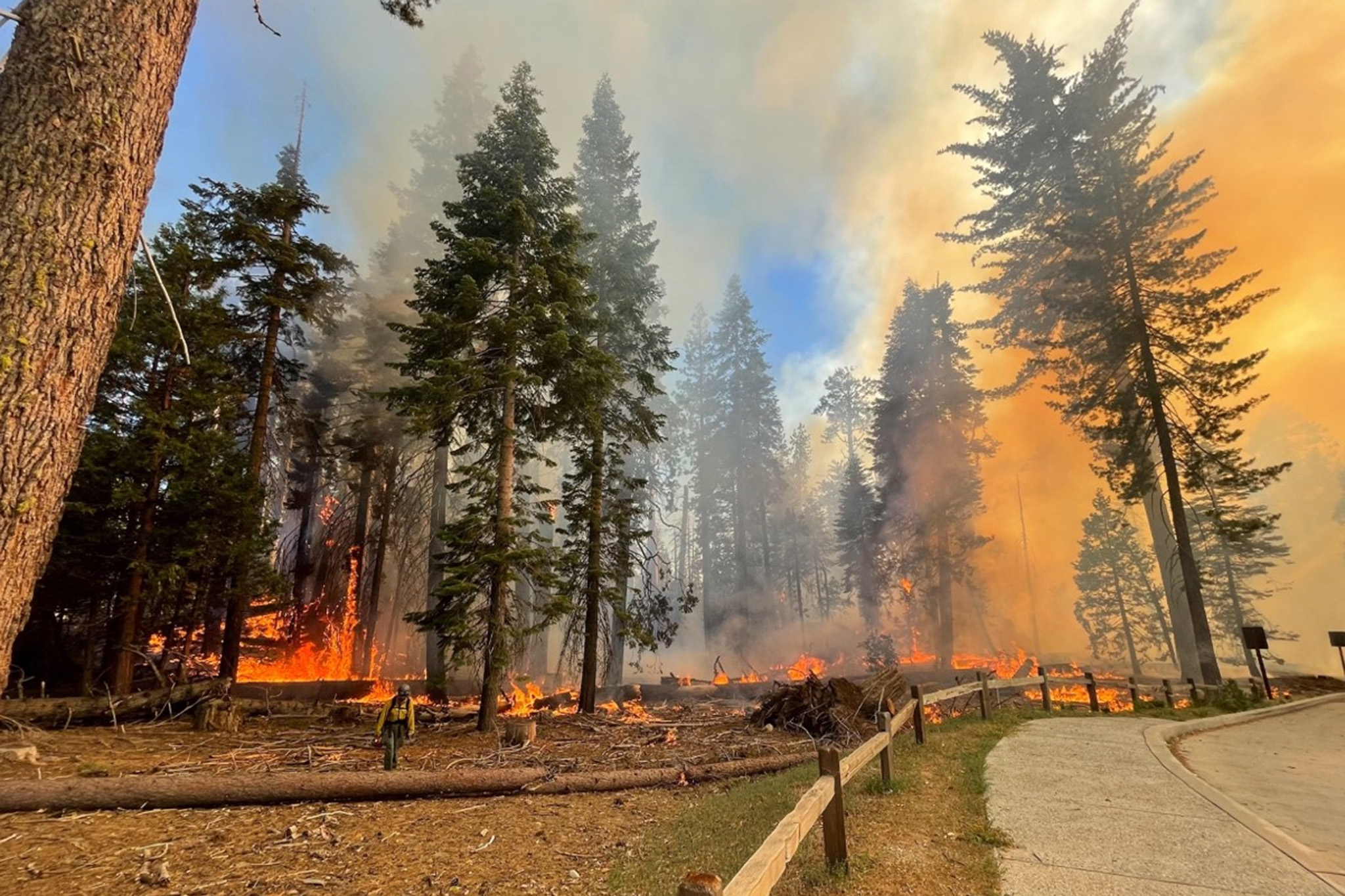 Yosemite wildfire explodes, threatens famed Mariposa Grove