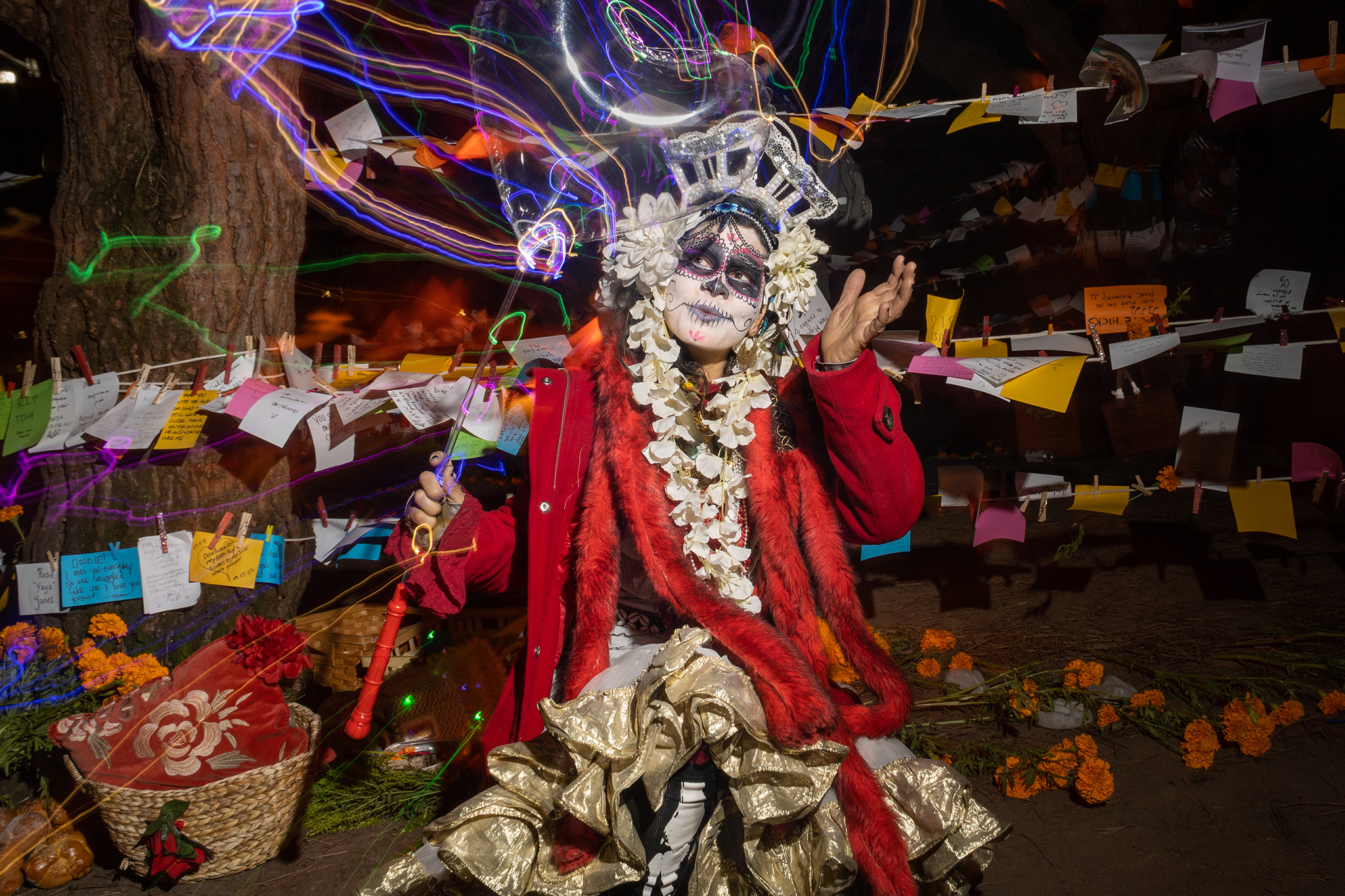 Photos from the Day of the Dead in SF's Mission District