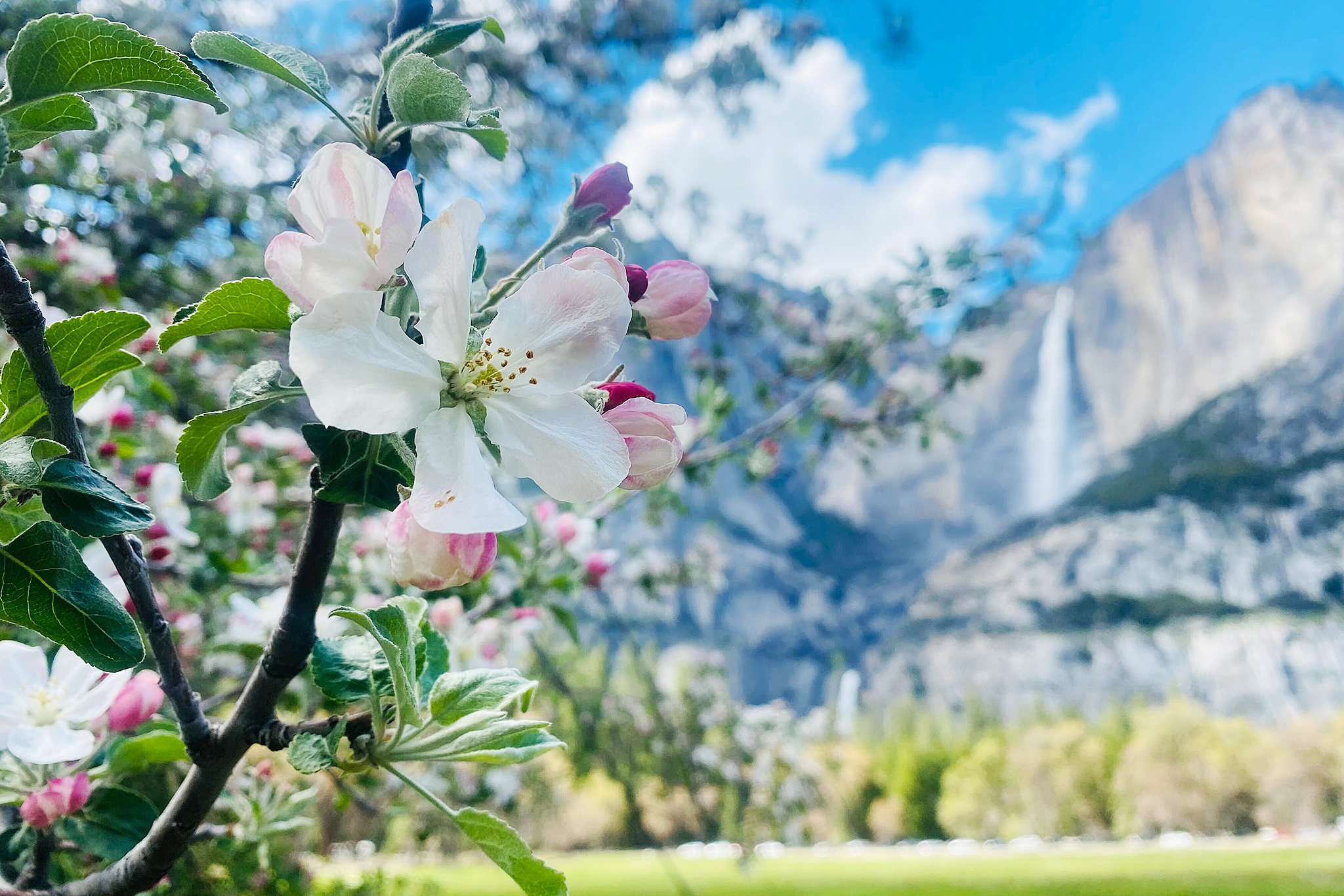 Right before the melting snowpack floods Yosemite National Park