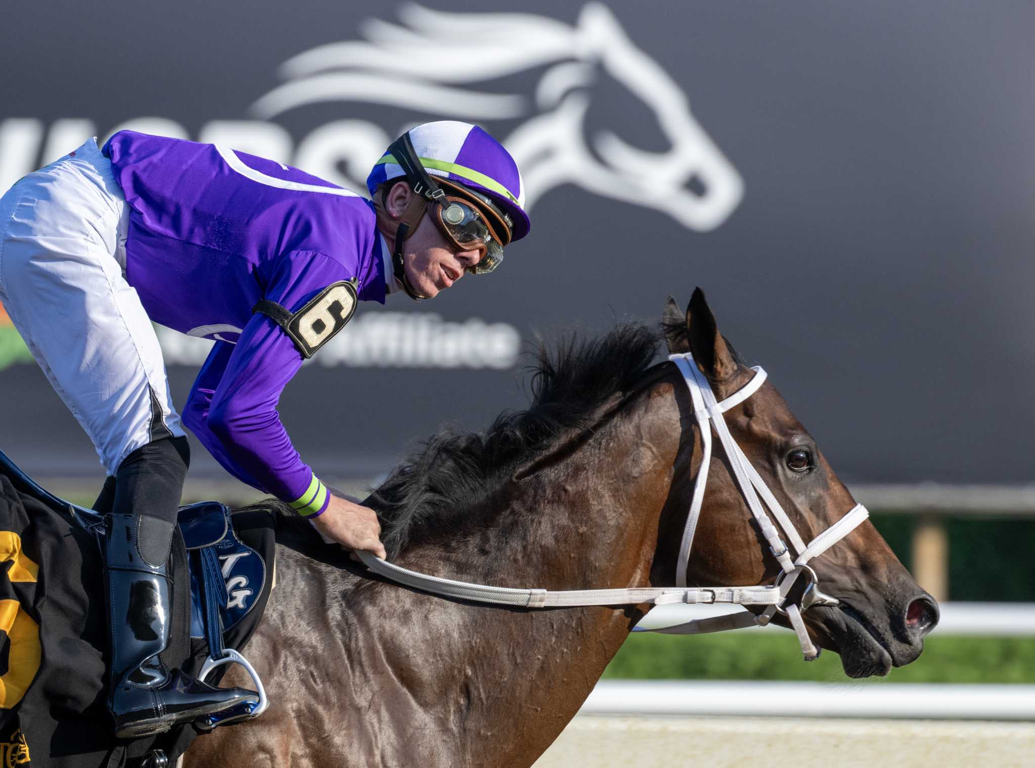 Churchill: Hiding Saratoga horse deaths conceals truth about sport