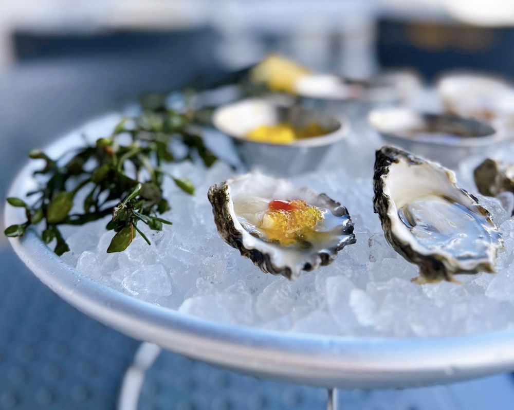 17 best seafood restaurants in San Francisco to visit now