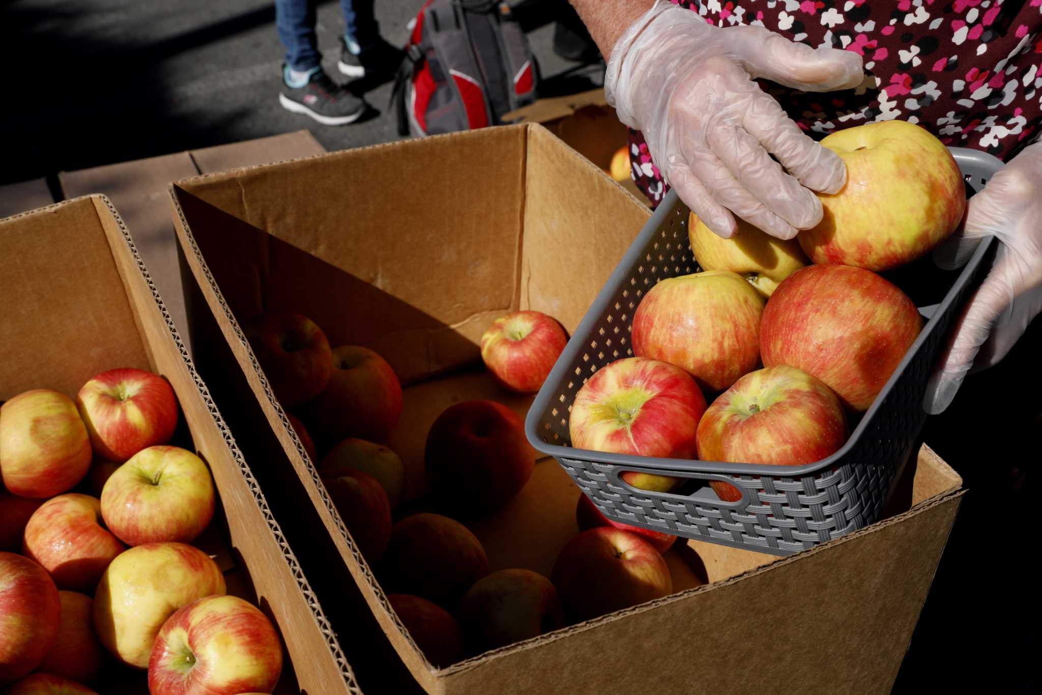 Listen: Bay Area food bank faces cuts even while need remains high