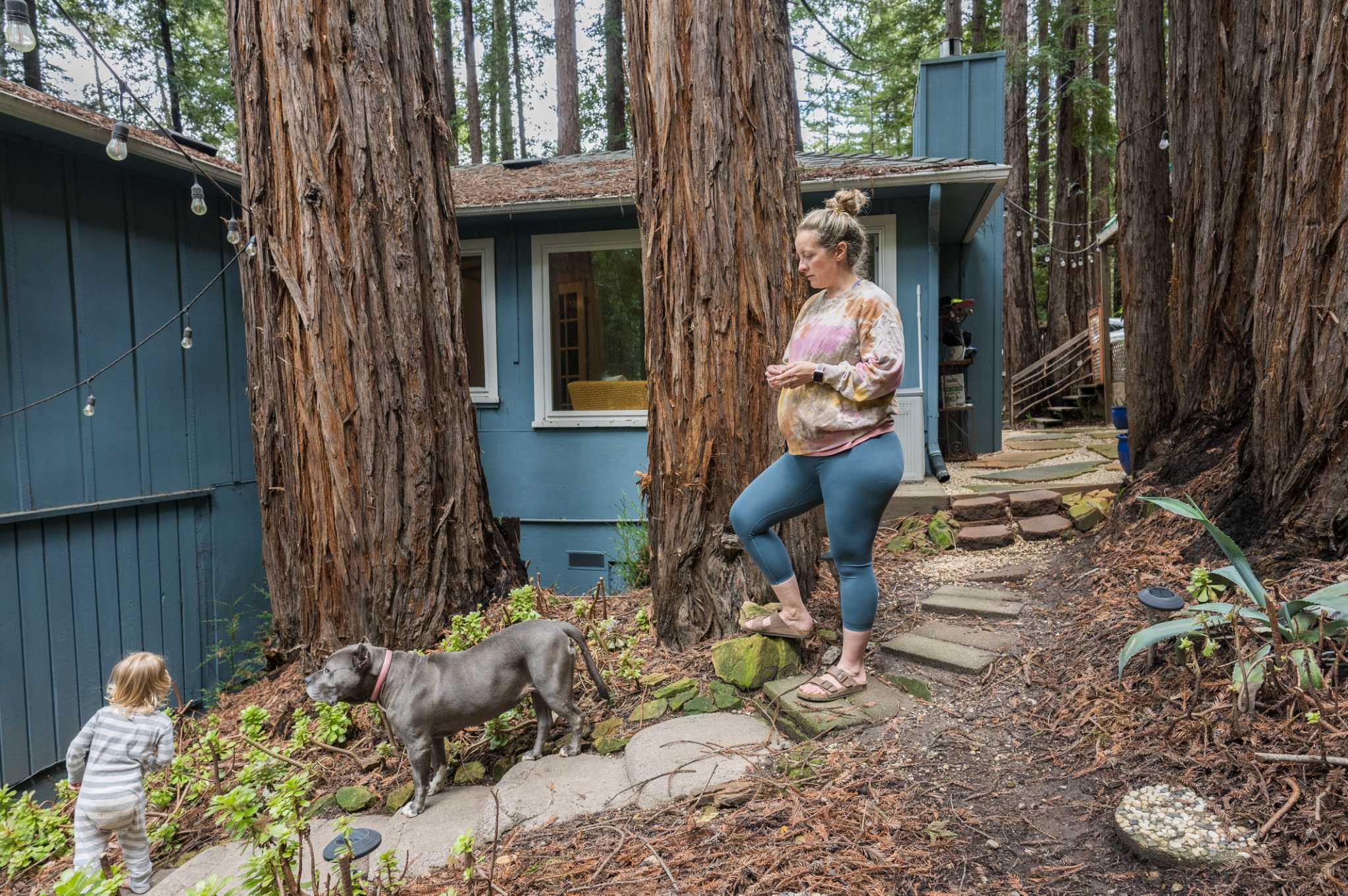 California's insurance crisis is pushing Santa Cruz to a tipping point
