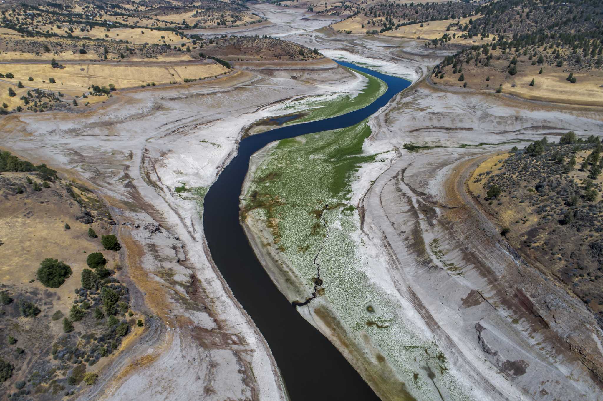 First salmon in a century spotted in waters once blocked by California