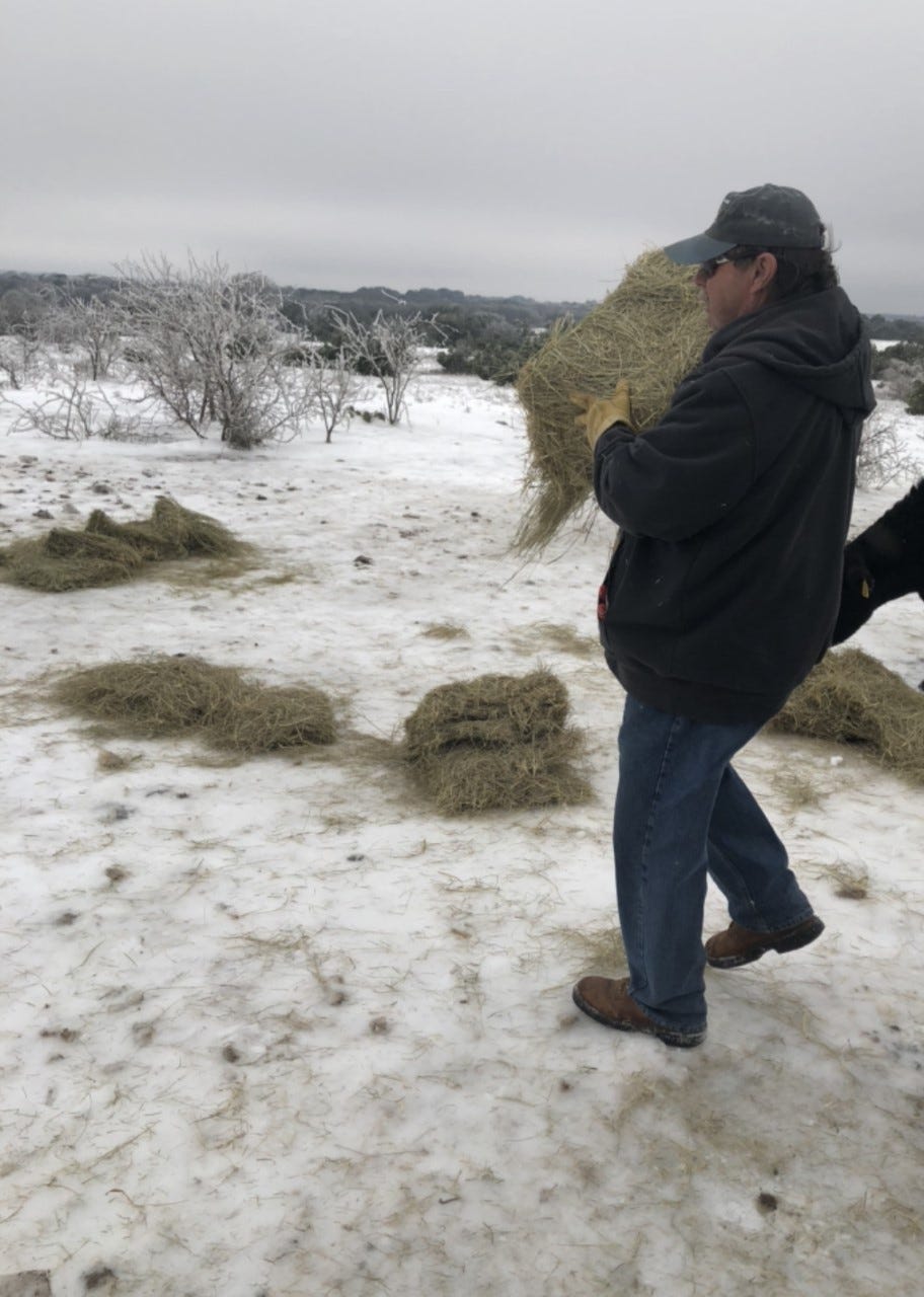 Leggett: Winter storm a horror movie in Burnet County