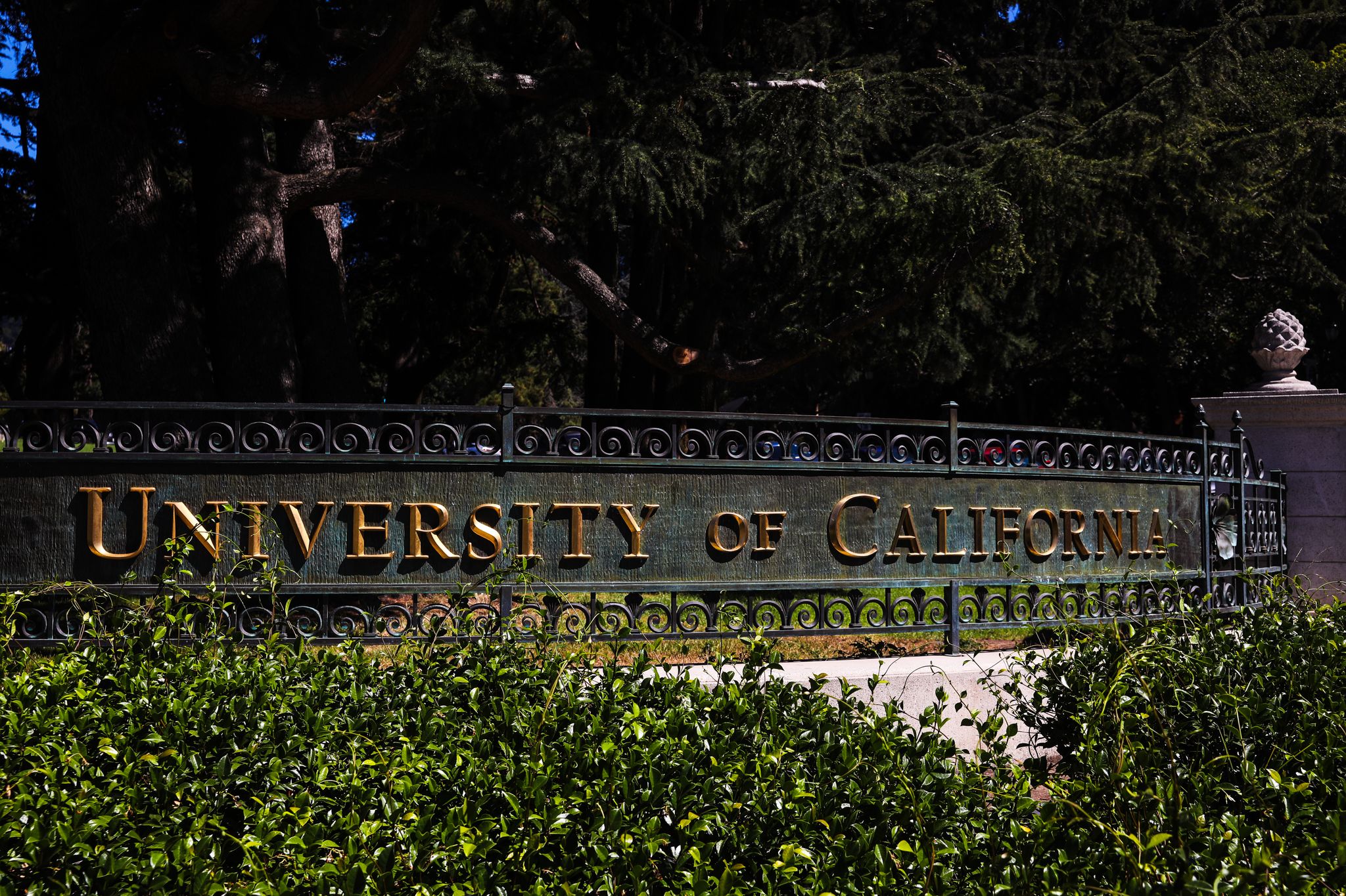Computer science major at UC sees declines for first time in decades