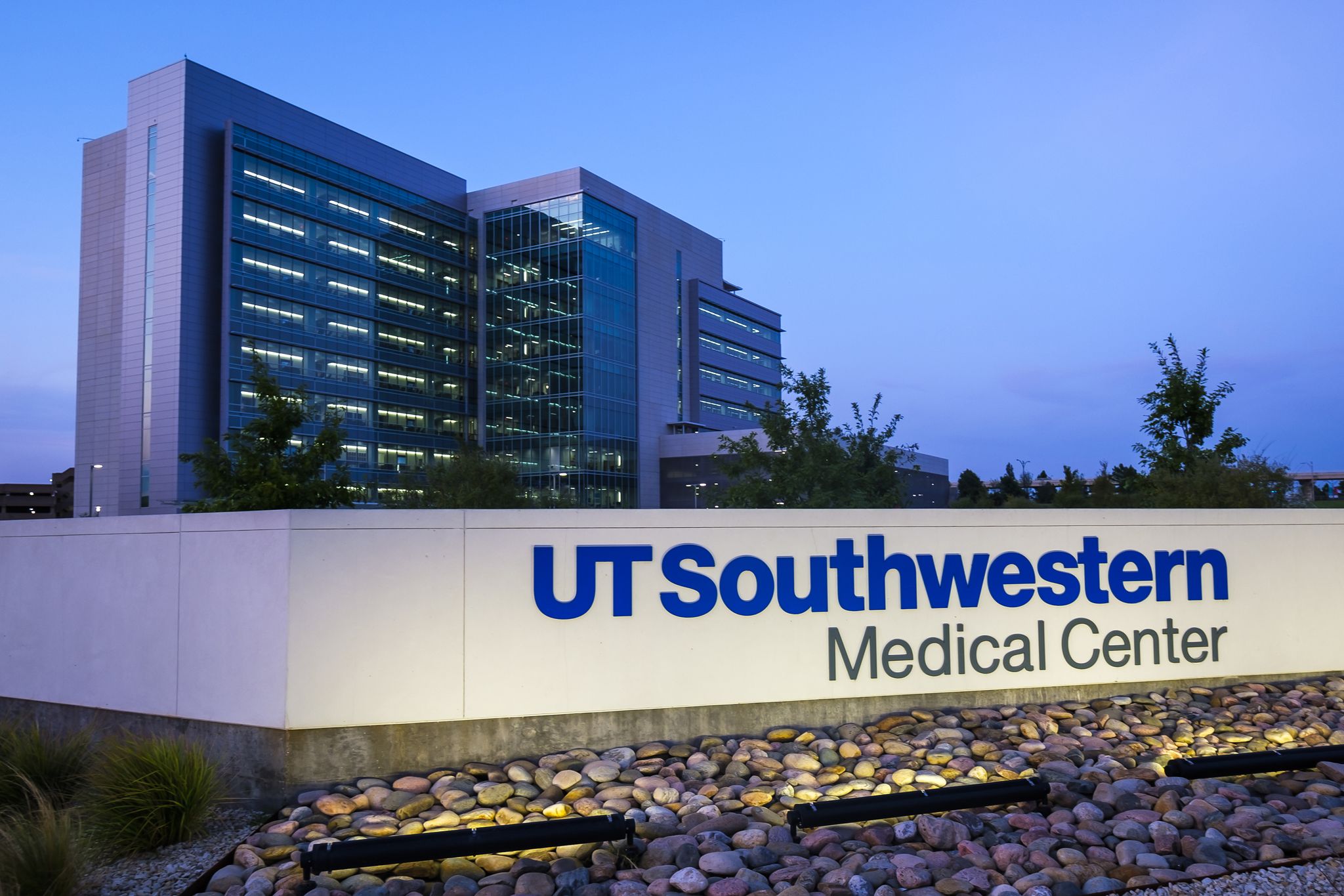 'Alarming' trend of Dallas County COVID-19 cases could worsen by Fourth of July, UTSW experts say