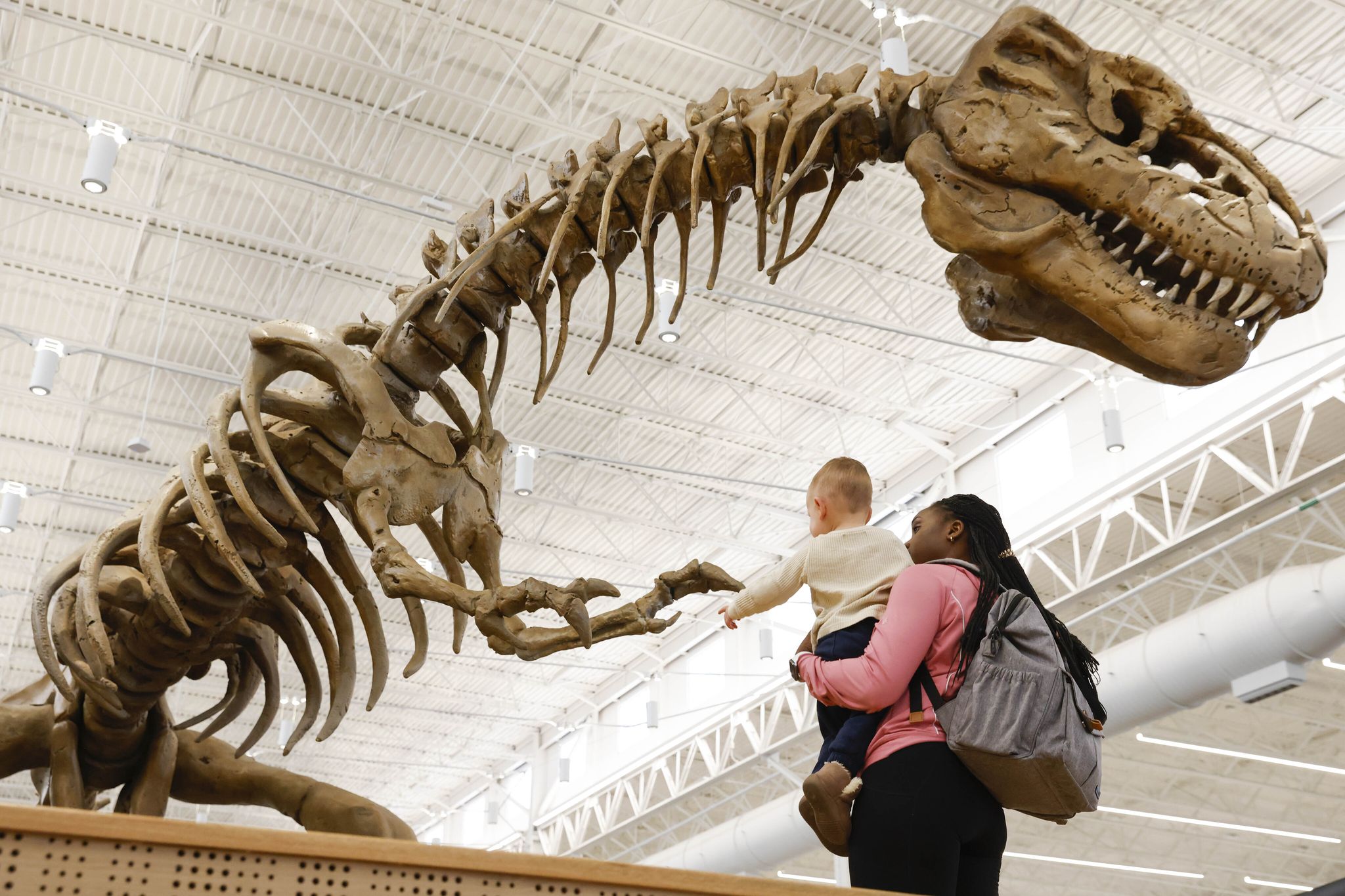 Frisco Public Library T. rex dinosaur skeleton brings past to life