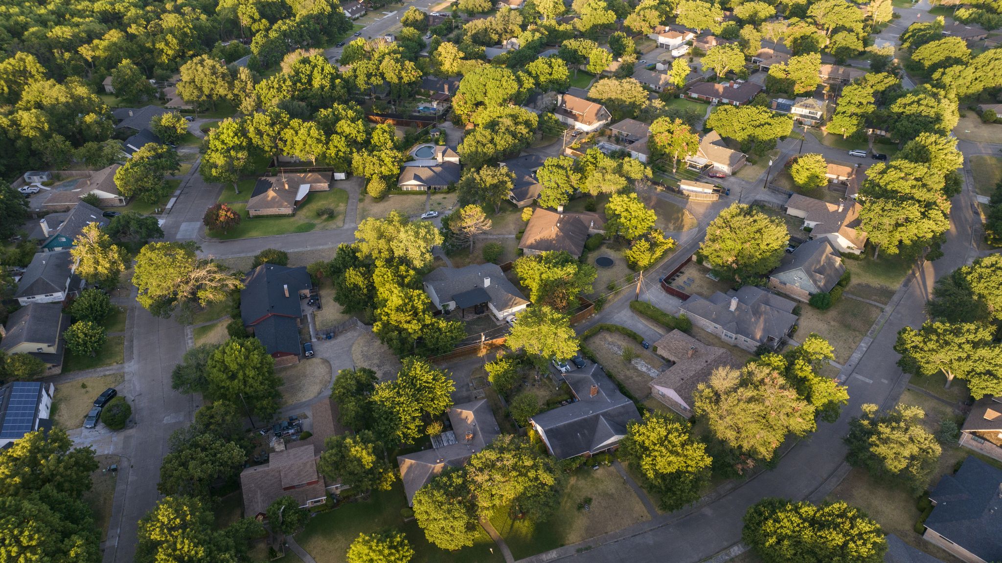 Dallas proposes $5 billion budget, promising deep tax rate cuts amid rising utility fees