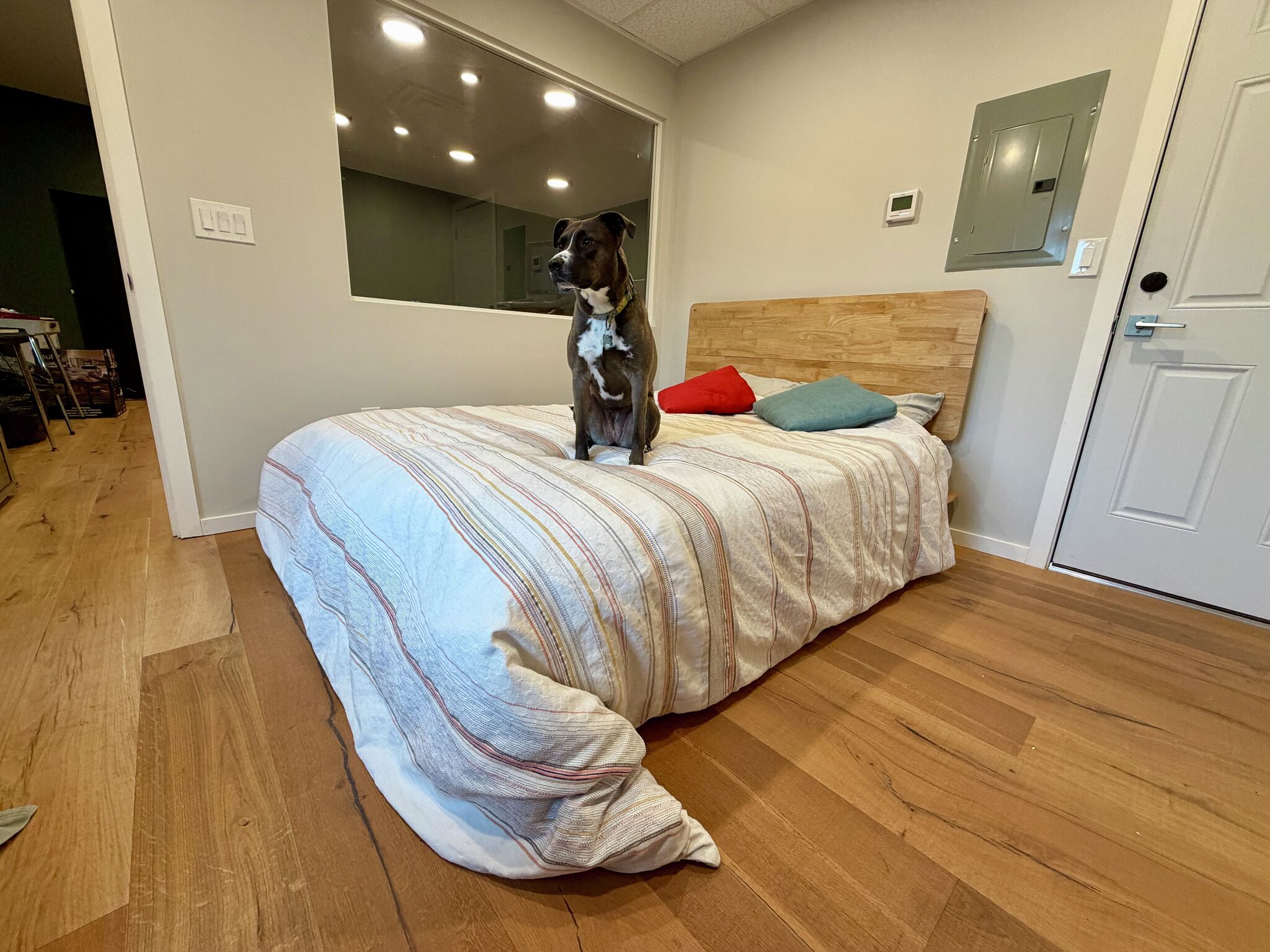 FlexiSpot Hako bed frame review: Easy tool-free setup in minutes
