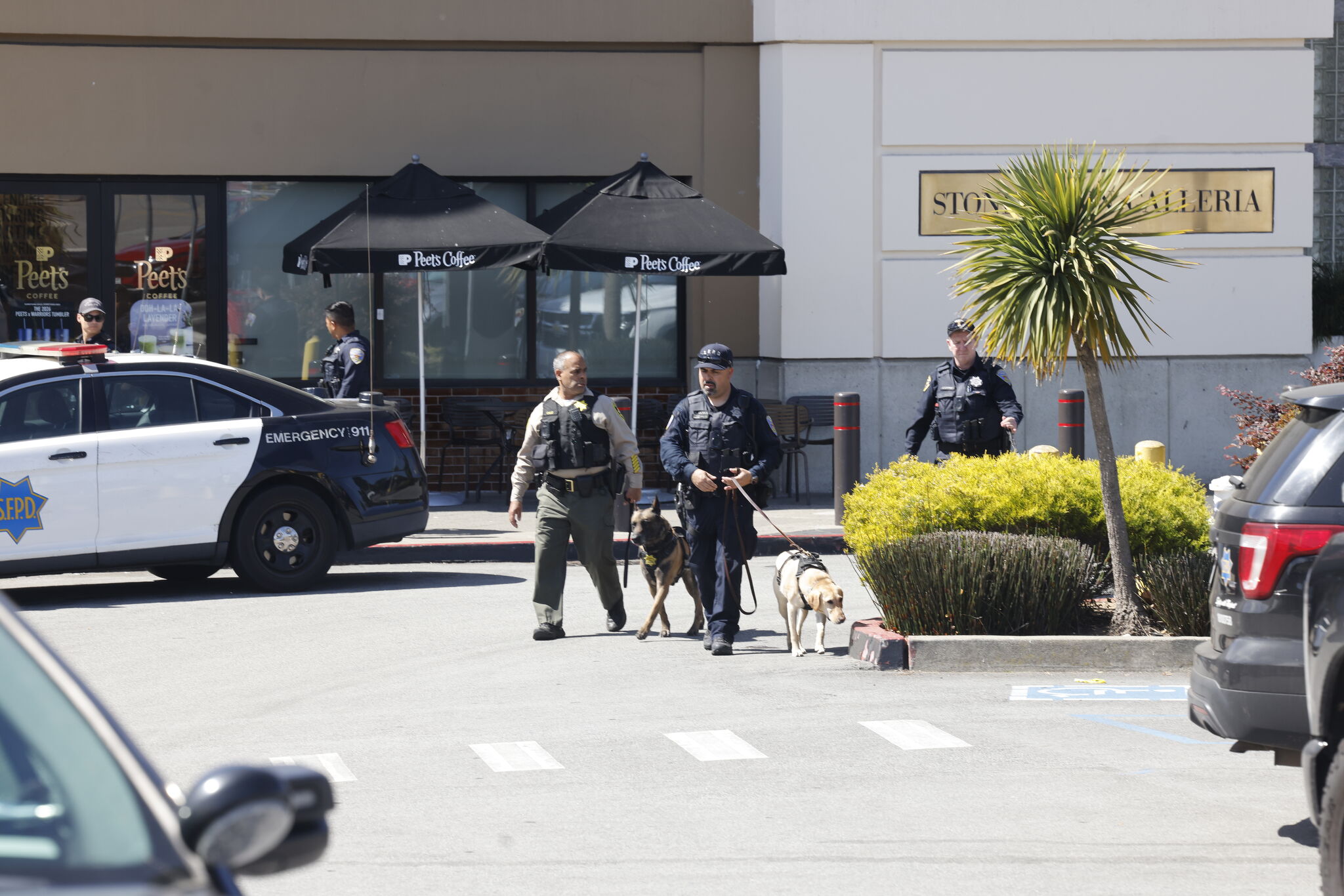 Stonestown Galleria reopened after S.F. police threat investigation