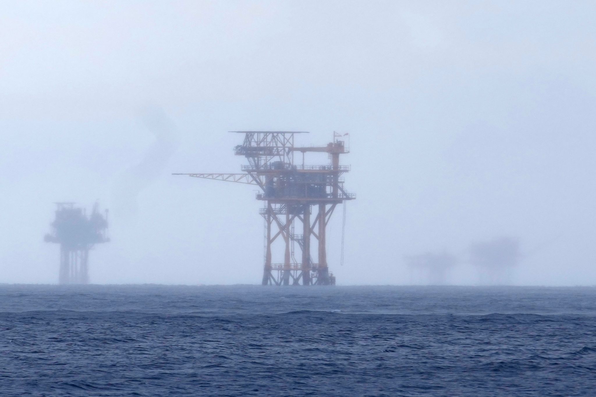 Things to know about Rice's whale, rare species in way of Trump plans for more Gulf drilling