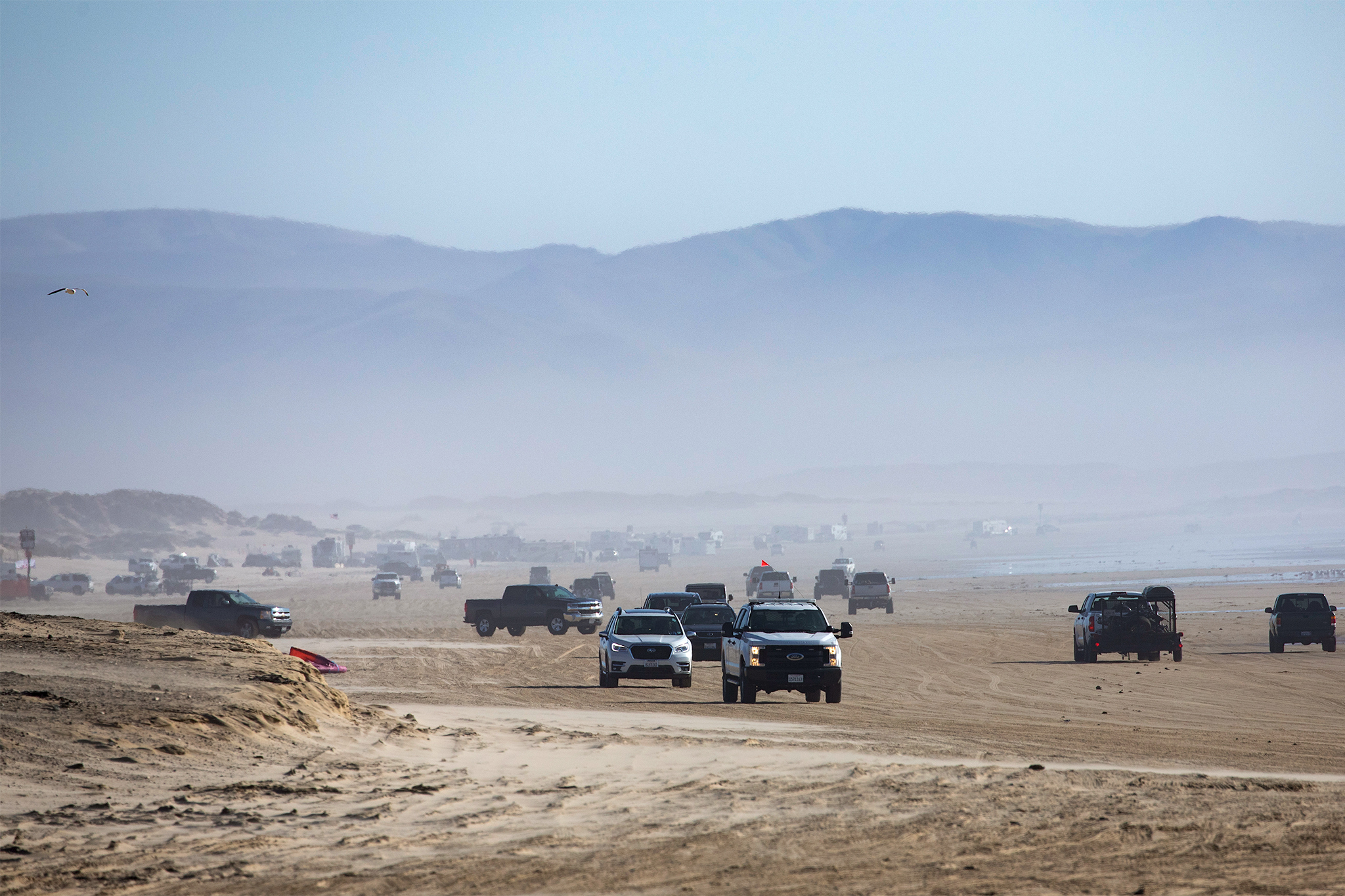 Popular off-roading area temporarily closed to protect shorebirds