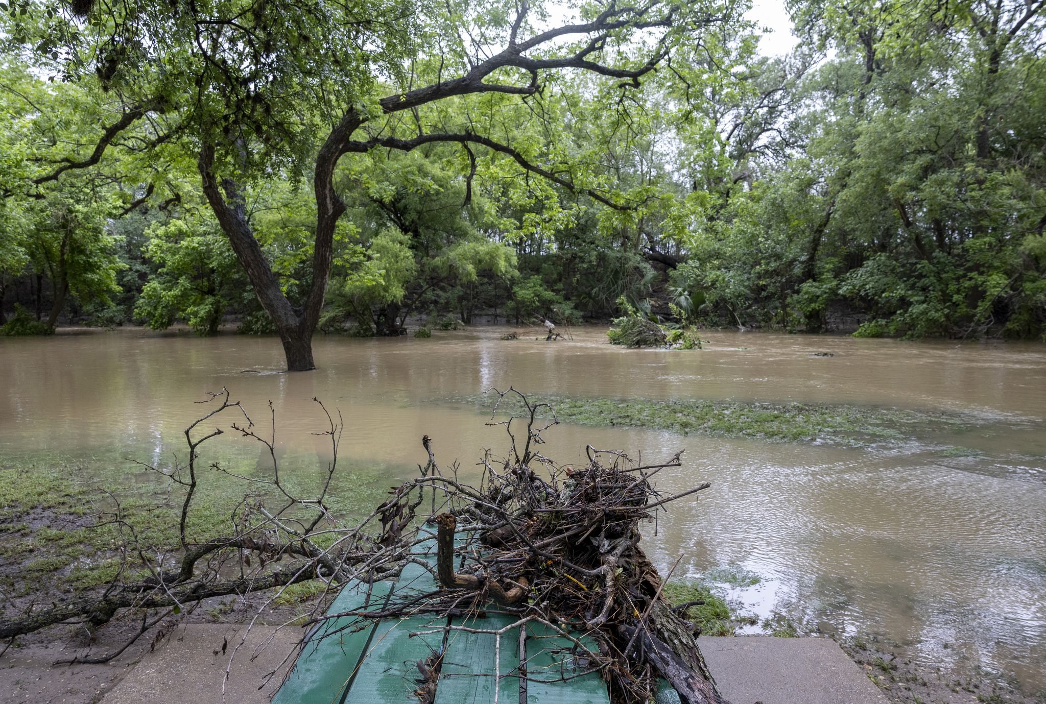 Man believed homeless dies in Salado Creek