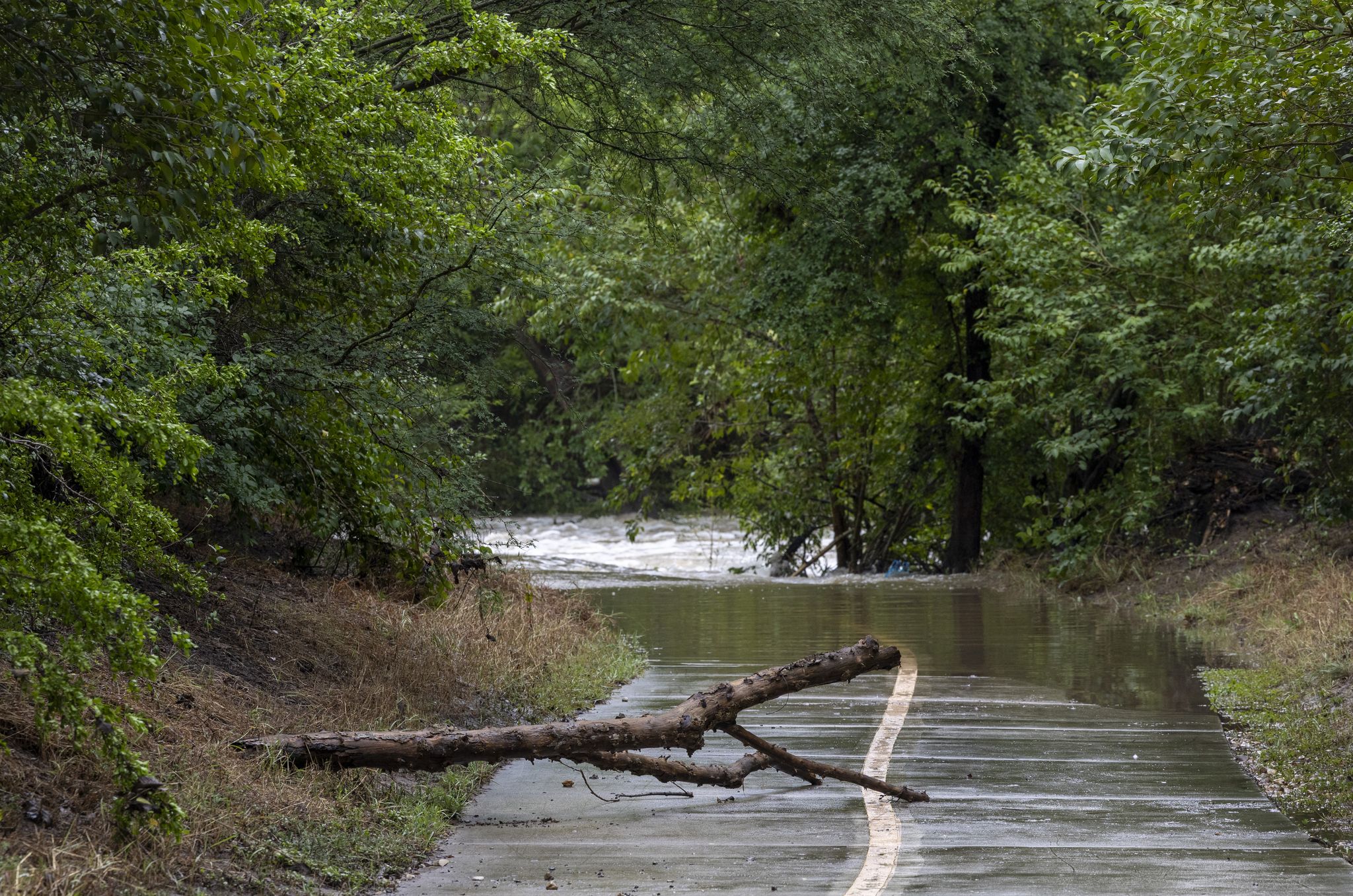 Man who drowned in Salado Creek during flood identified