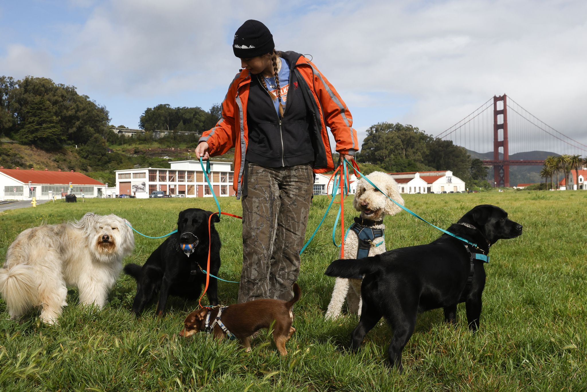 SF’s luxury dog day care and walking services are booming — and costly