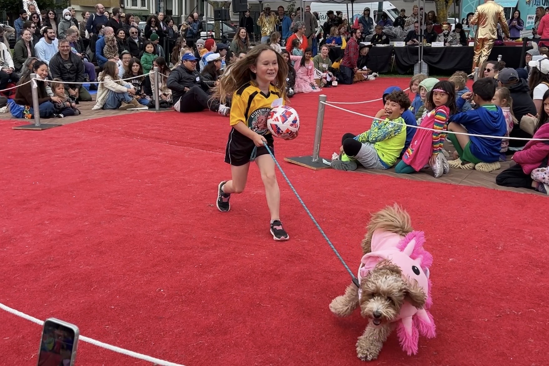 San Francisco DogFest: Wild costumes, big cheers and one tough call