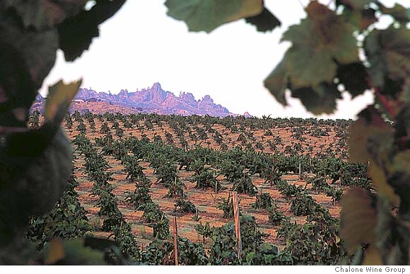 Global beverage firm pays top dollar for Chalone Wine Group