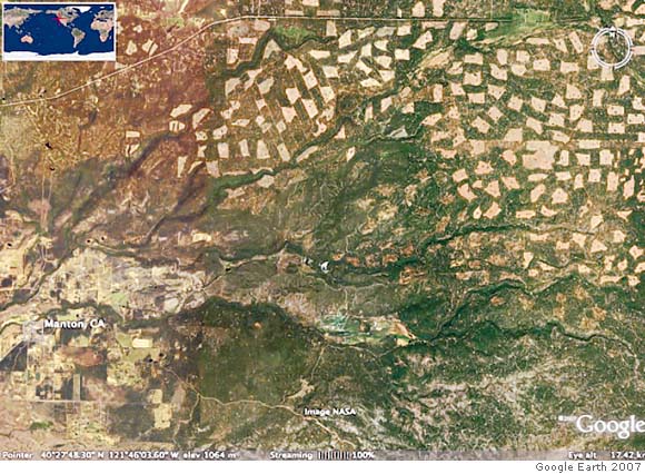Getting clear with Sierra Pacific Industries