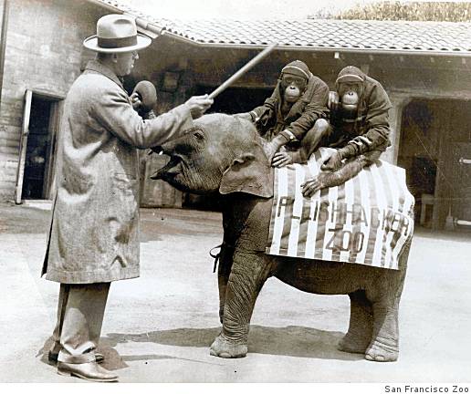 How a hundred bags of onions helped bring about the San Francisco Zoo