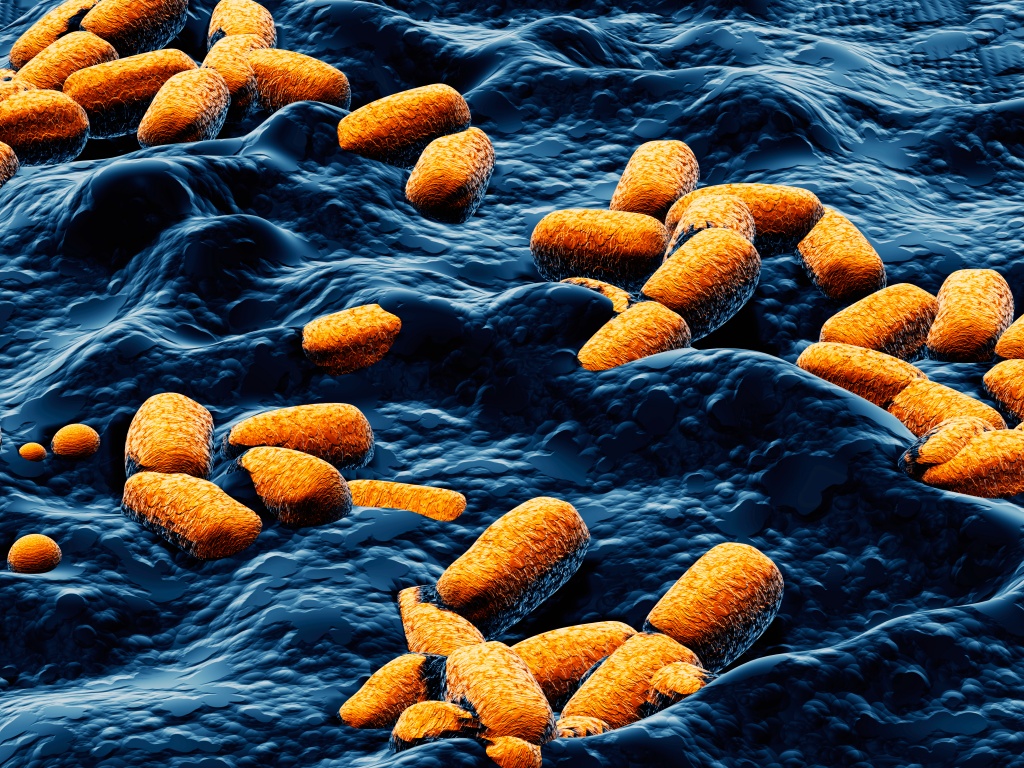 E. coli, your fine frenemy