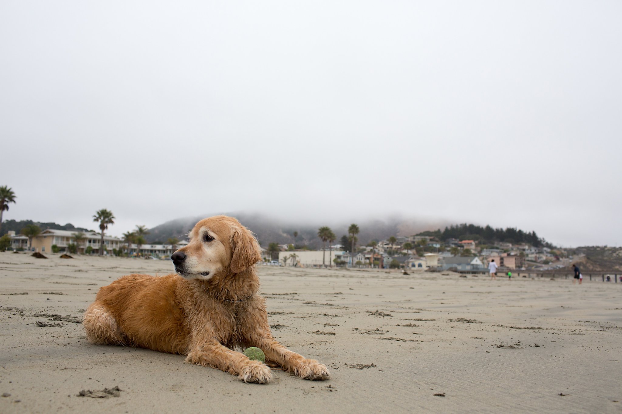 San Luis Obispo County: Which beach town suits your personality?