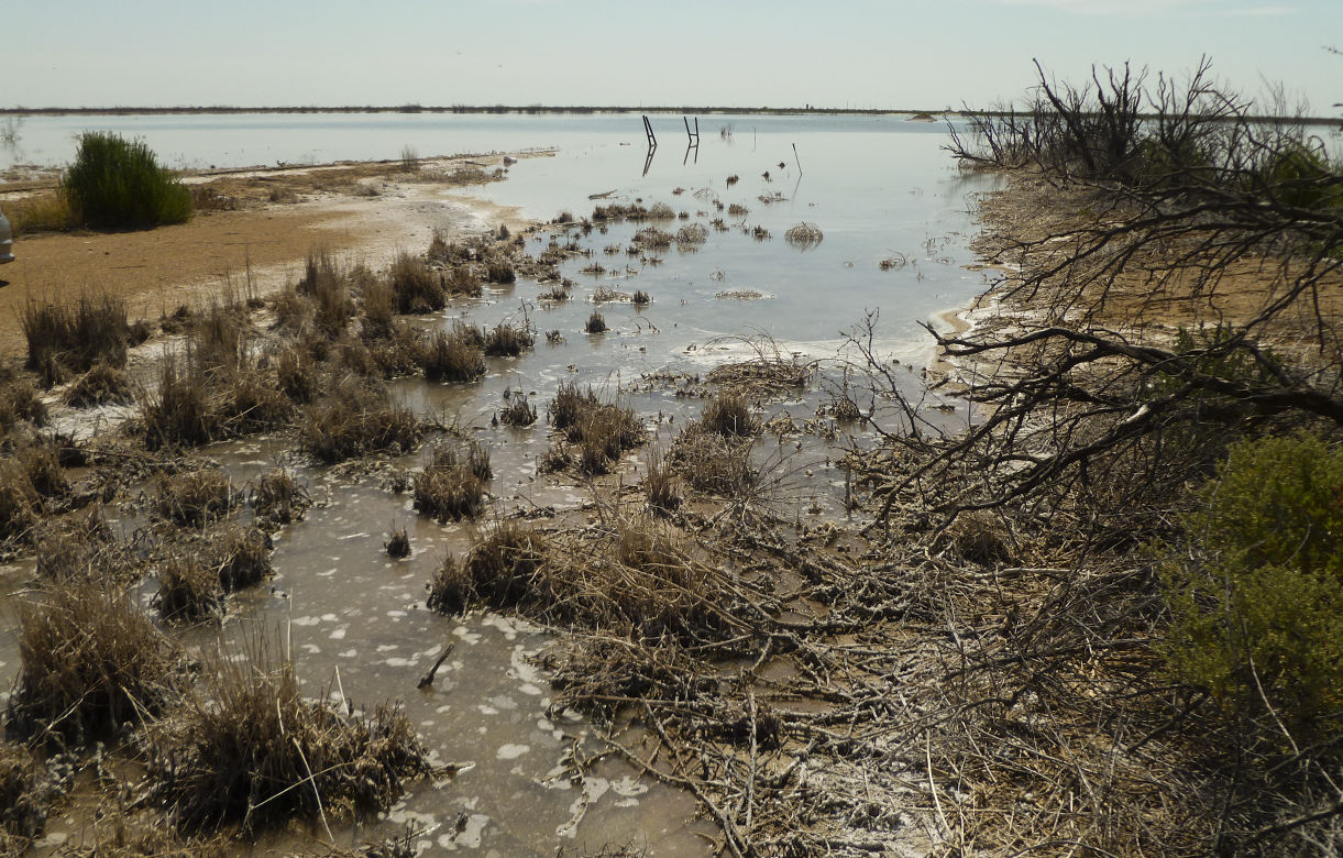 Old oil wells pose problem for Pecos County