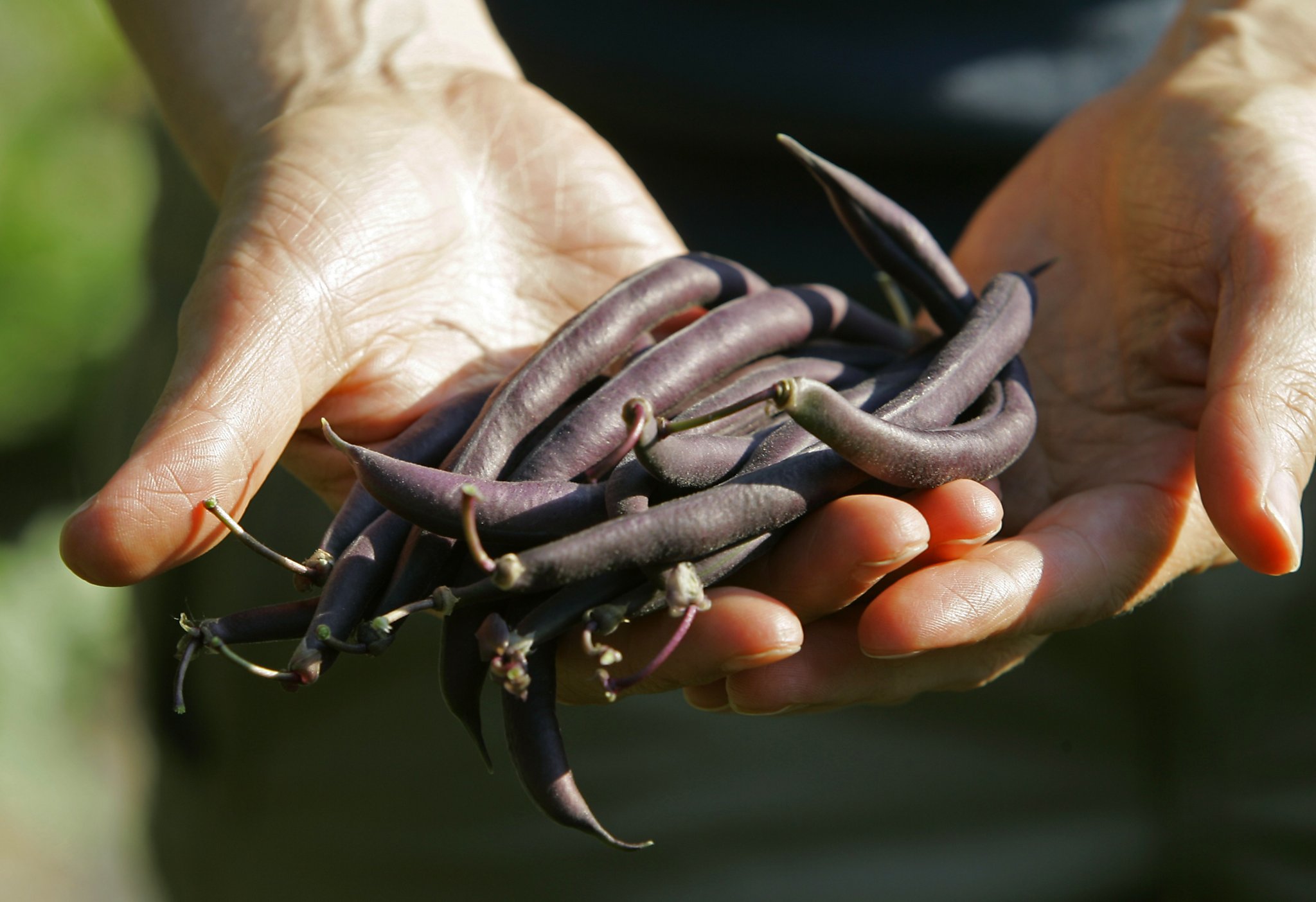 Pam Peirce: What to grow in your food garden