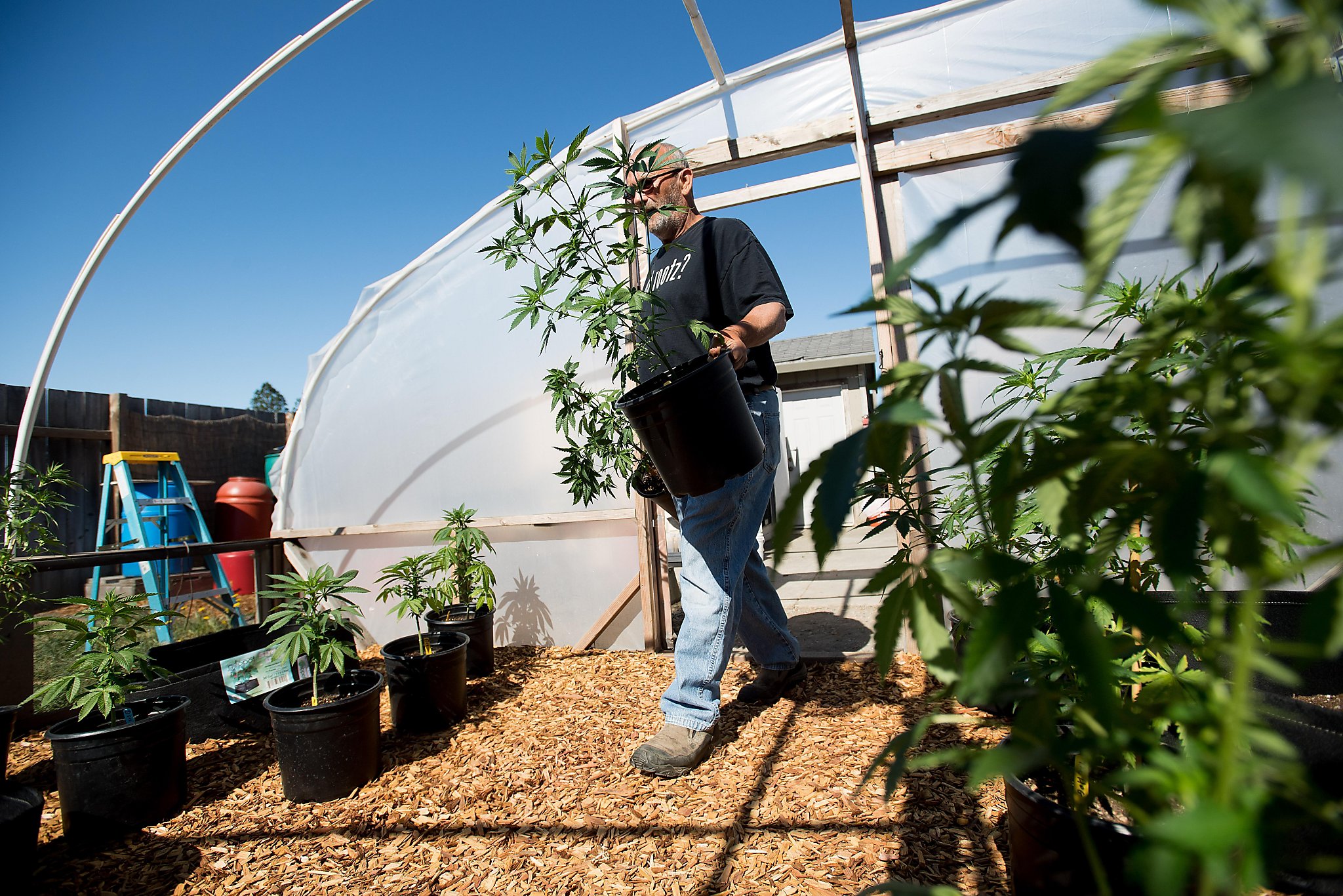 Bay Area pot laws are confusing - Here's what you need to know